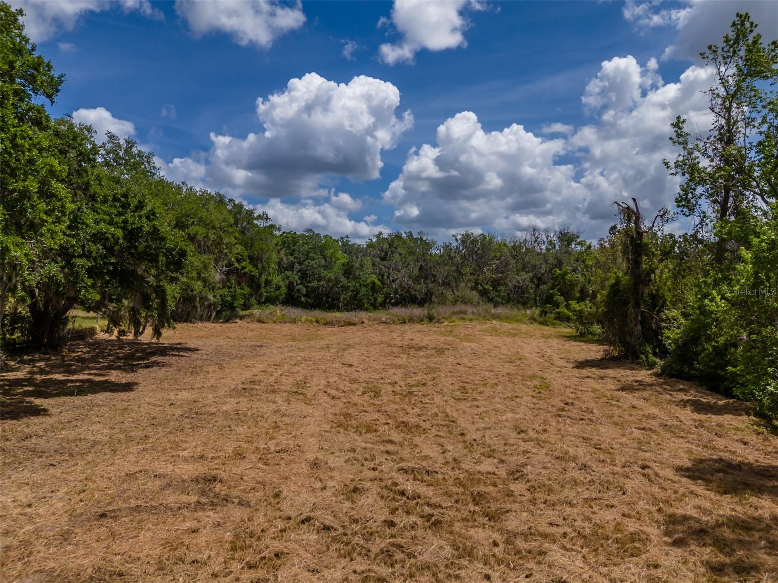 5106 Bell Shoals Rd Property Photo 8