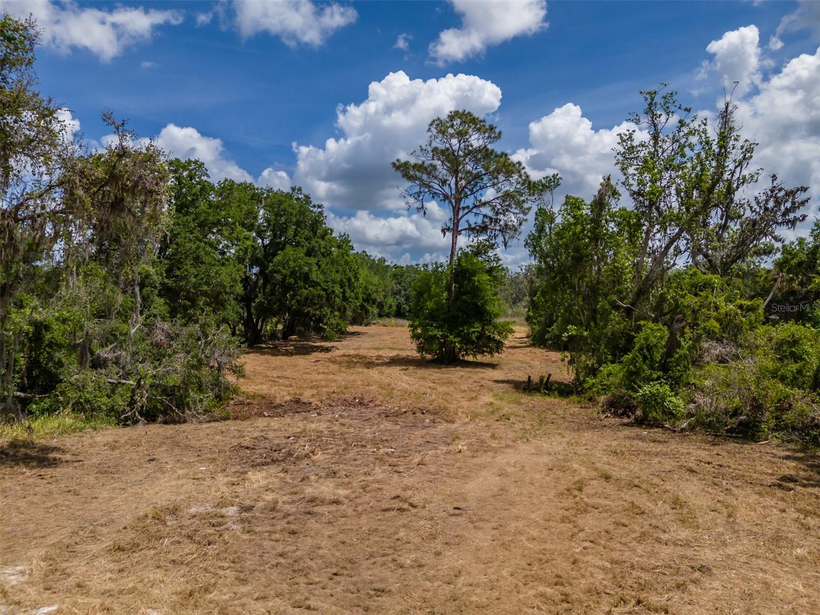 5106 Bell Shoals Rd Property Photo 9