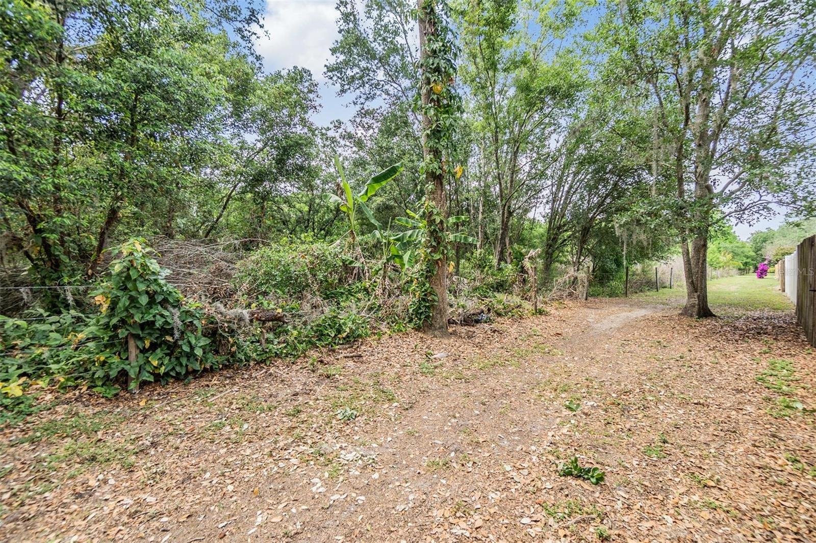 1524 Marsh Wood Dr Property Photo 27