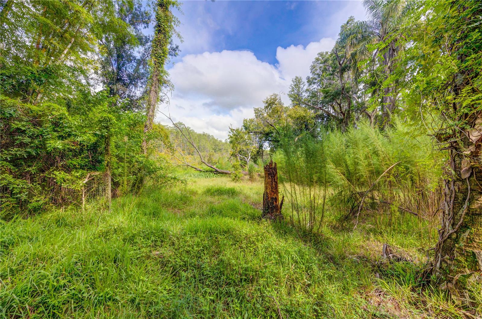 7408 Tom Dr Property Photo 6