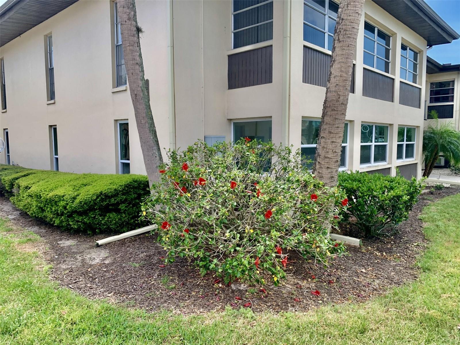 4712 Marine Pkwy #101 Property Photo
