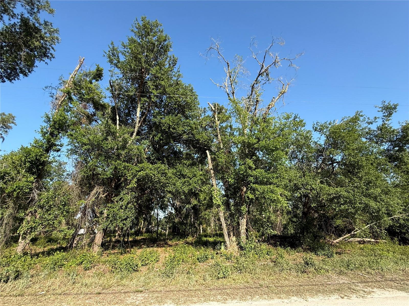 Null Owens Dr Property Photo