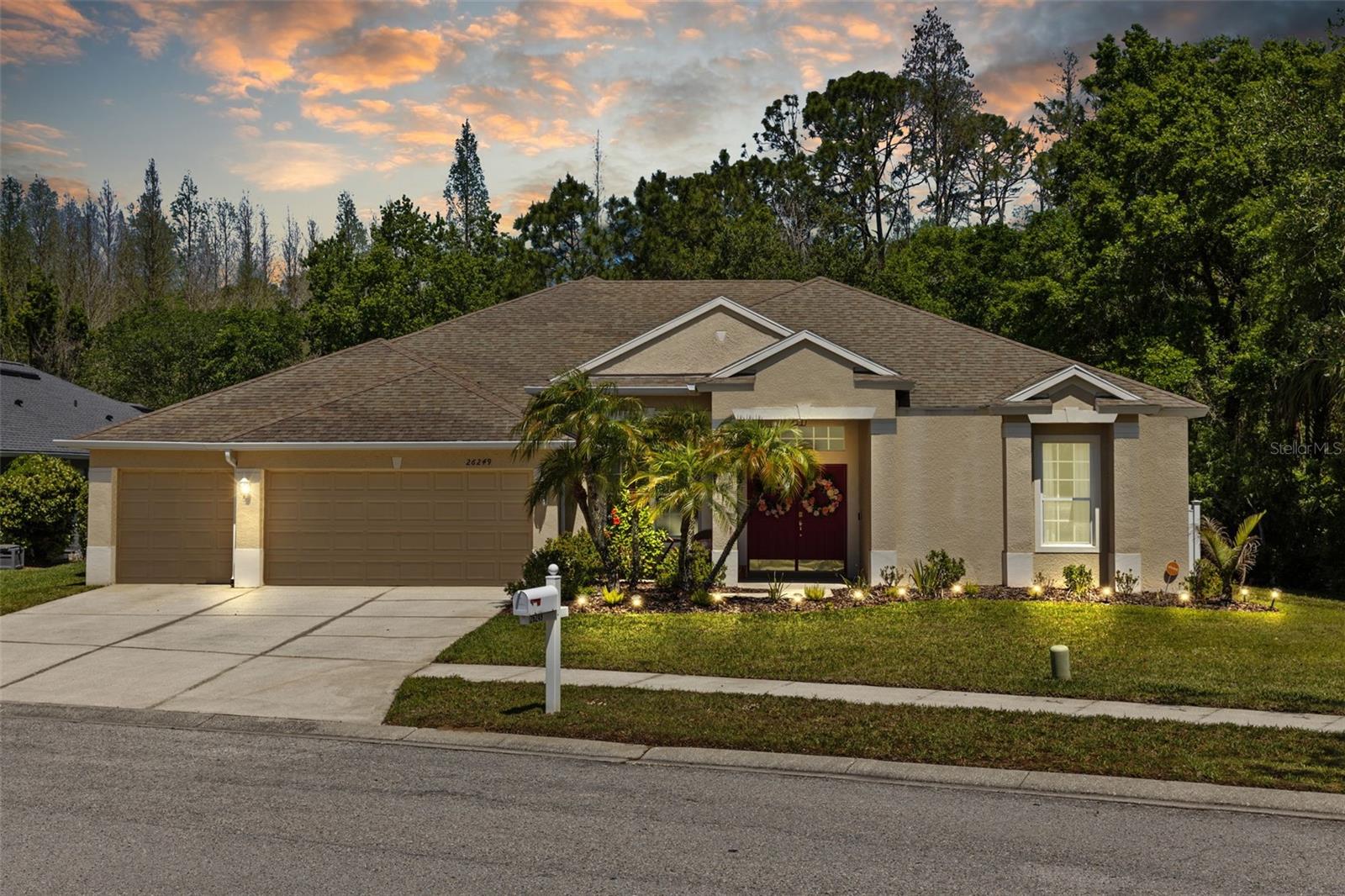 26249 Sword Dancer Dr Property Photo 2