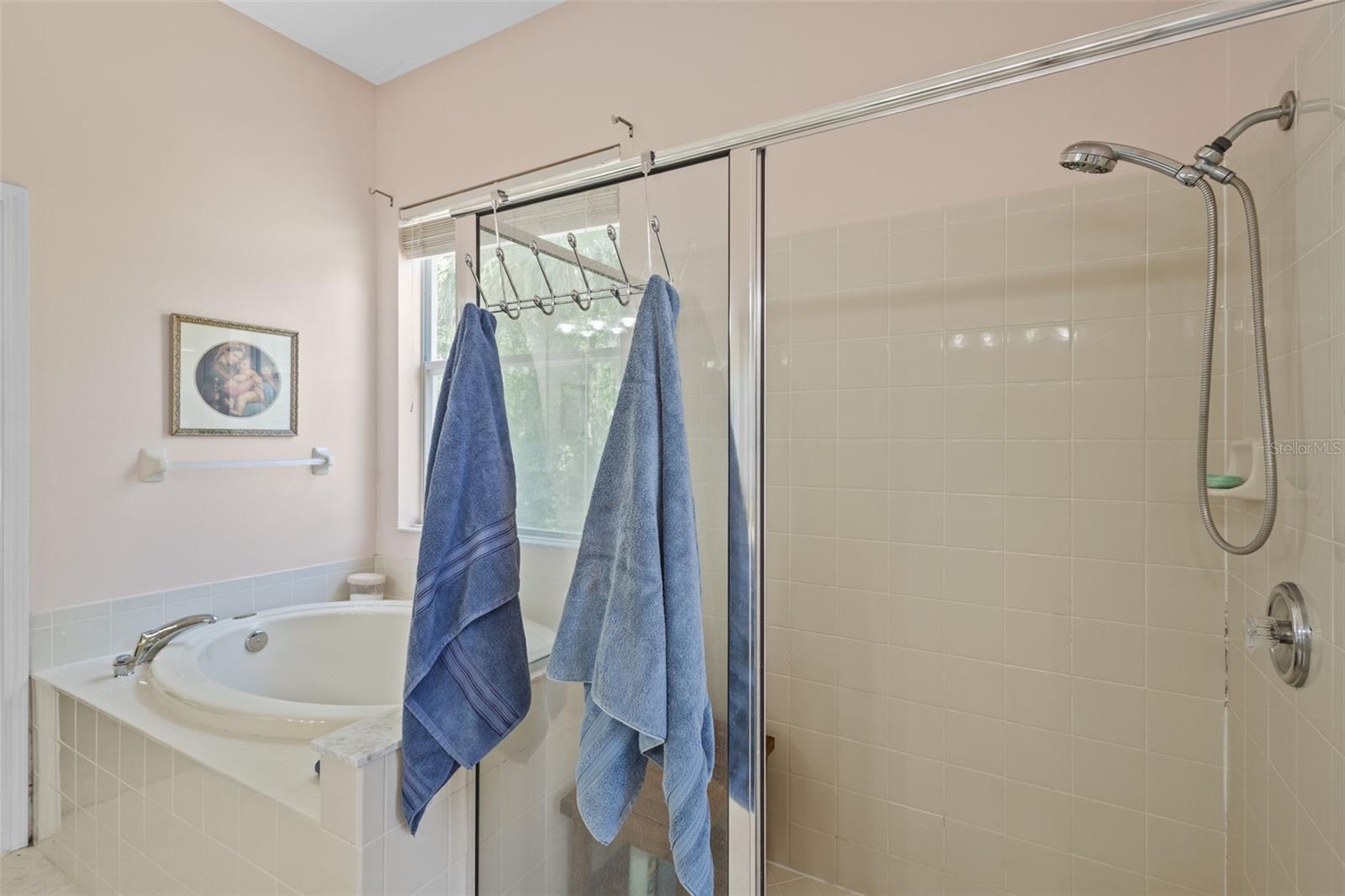 26249 Sword Dancer Dr Property Photo 15
