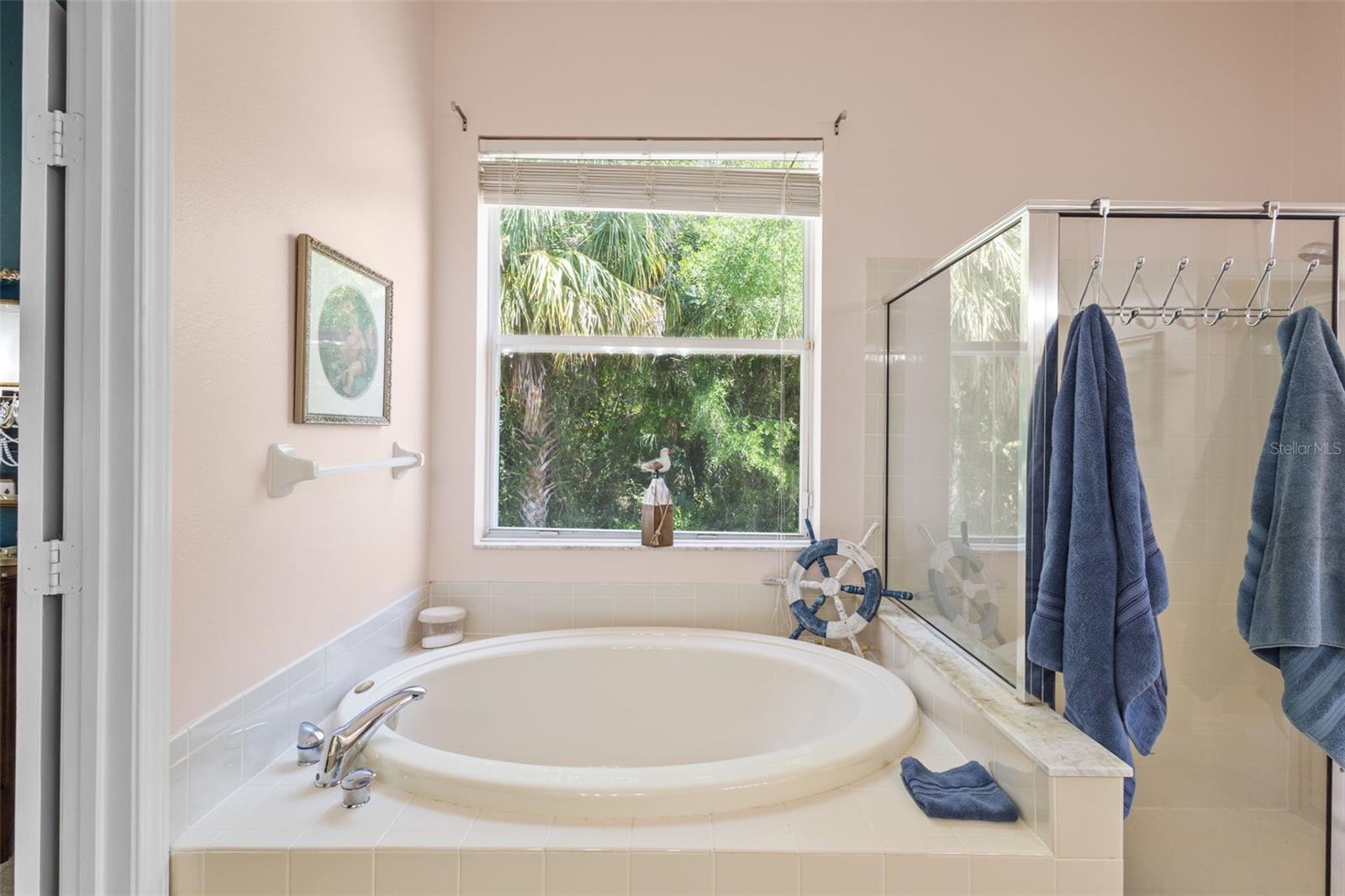 26249 Sword Dancer Dr Property Photo 16