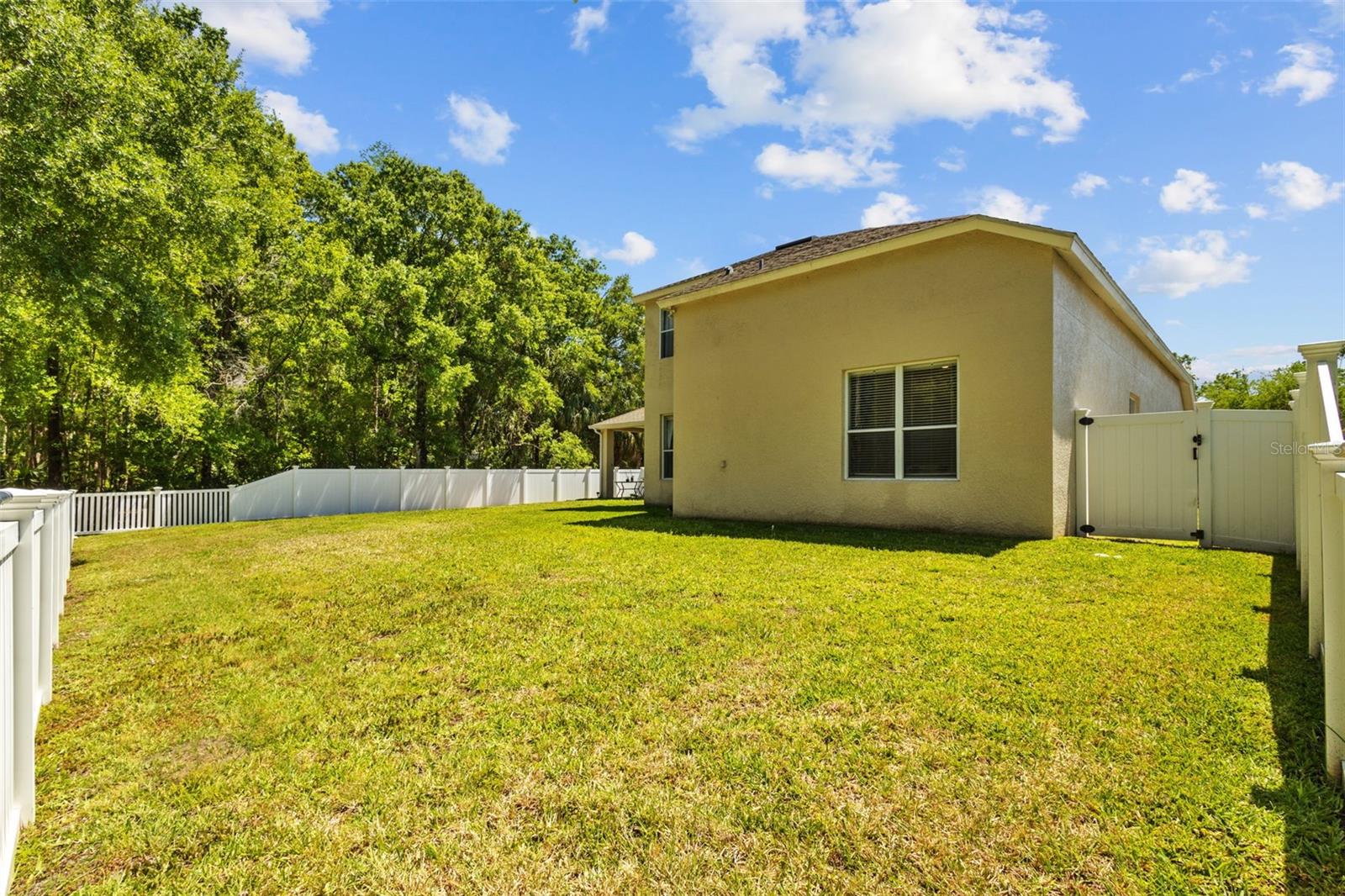 26249 Sword Dancer Dr Property Photo 49