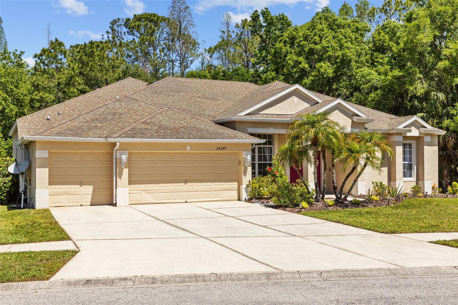 26249 Sword Dancer Dr Property Photo 51