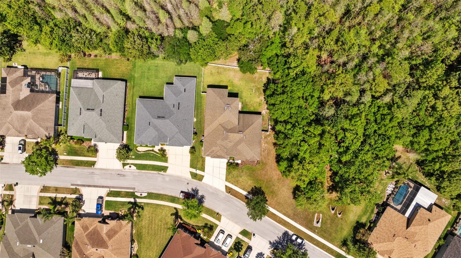 26249 Sword Dancer Dr Property Photo 55
