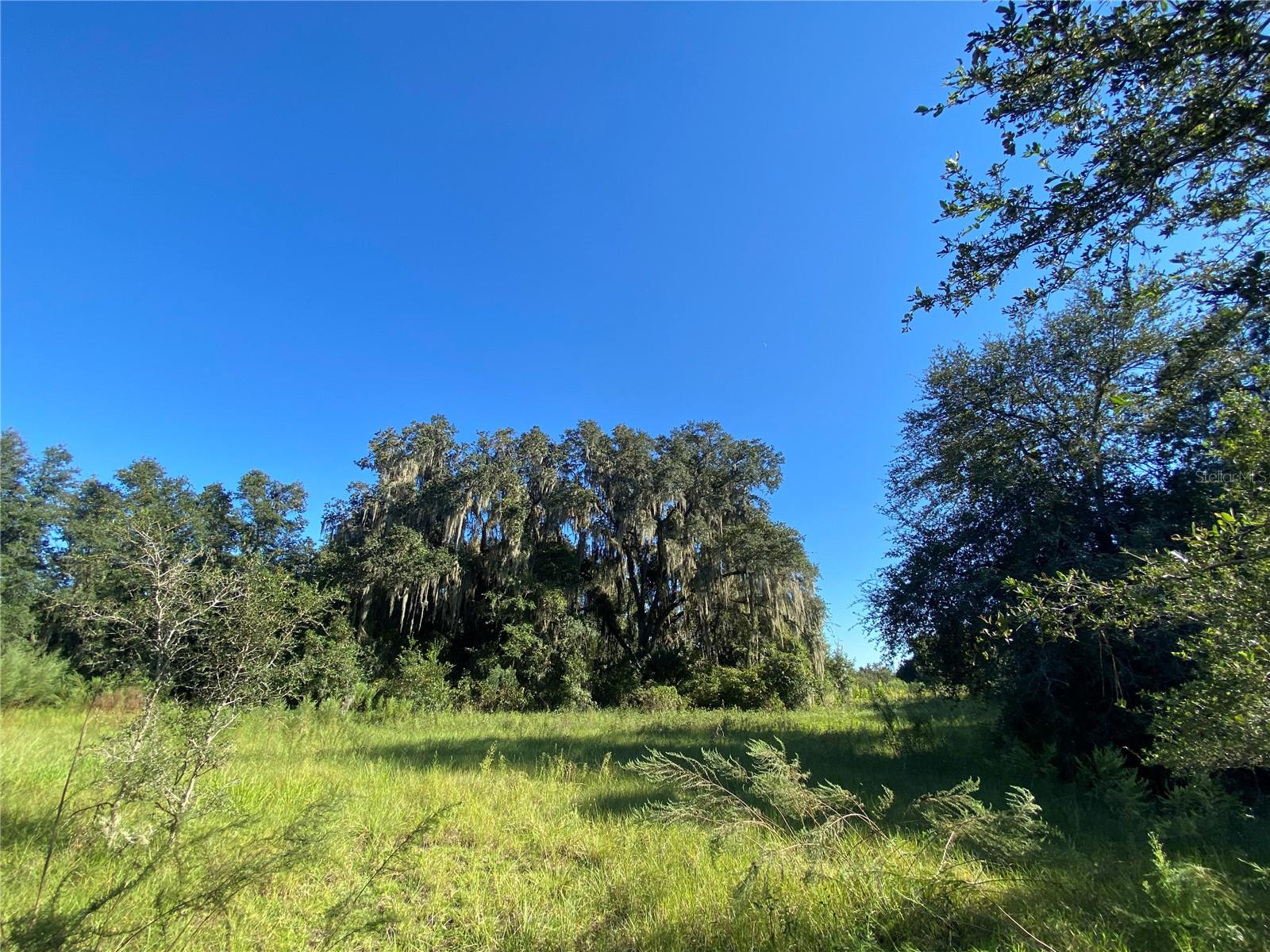 7373 E Savannah Ct Property Photo 3