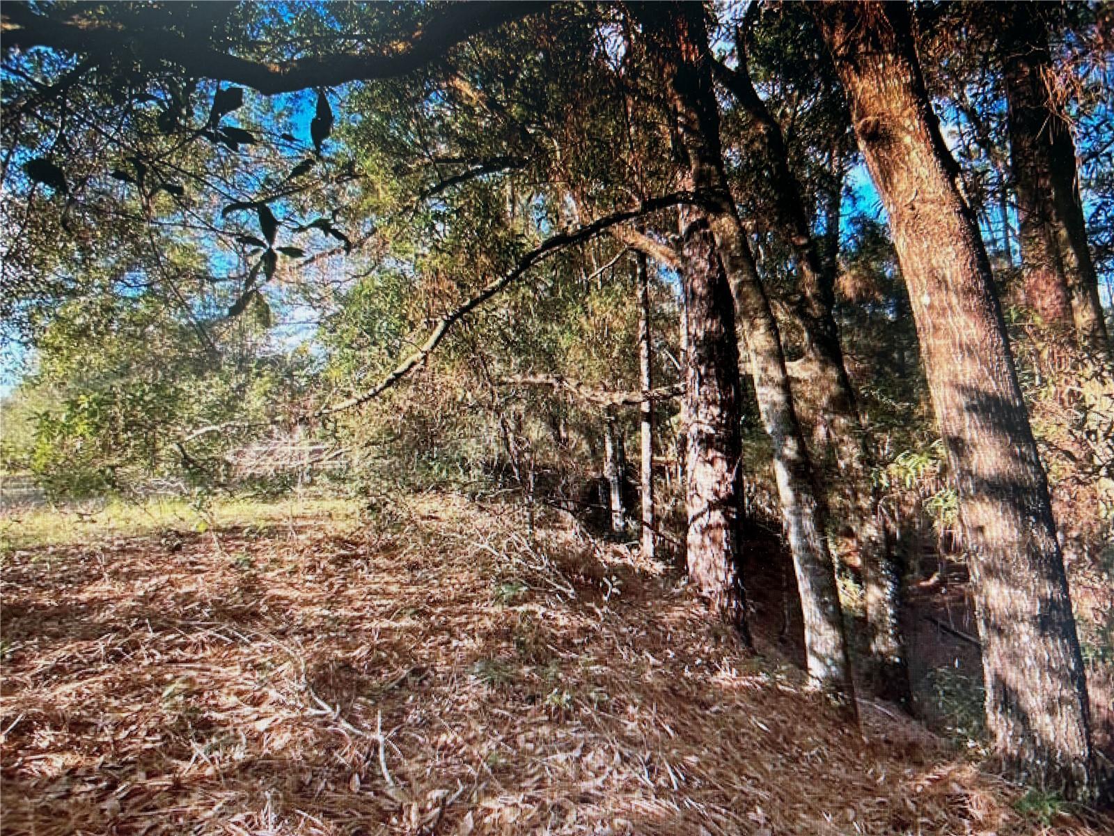 7373 E Savannah Ct Property Photo 4