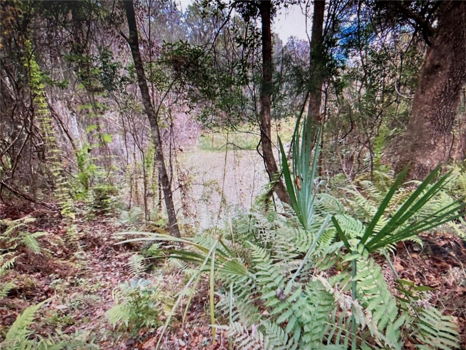 7373 E Savannah Ct Property Photo 10