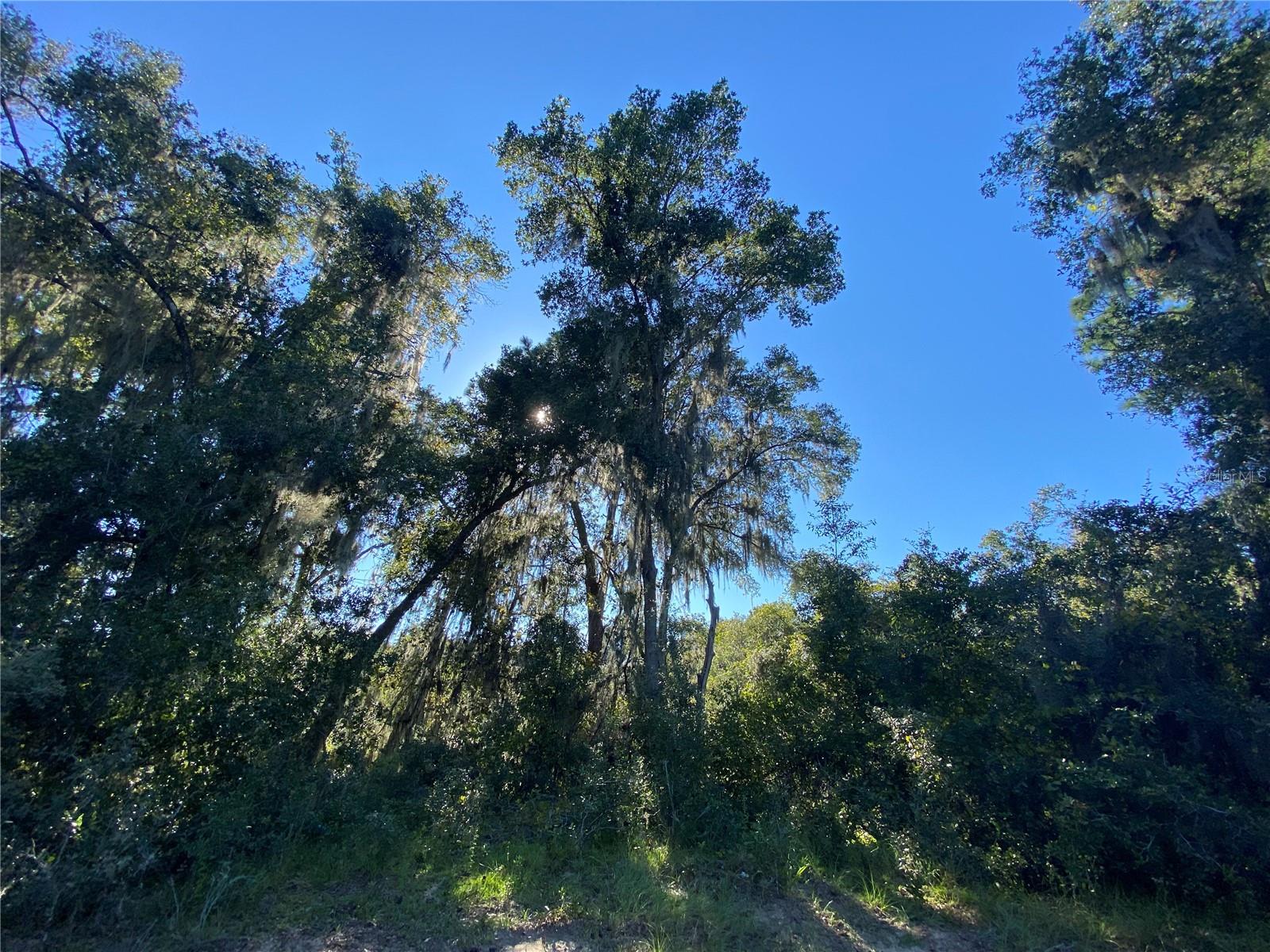 7373 E Savannah Ct Property Photo 34