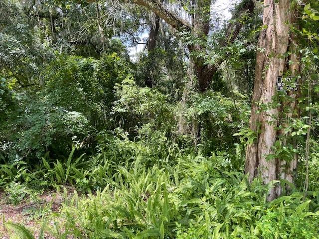 22357 Panorama St Property Photo