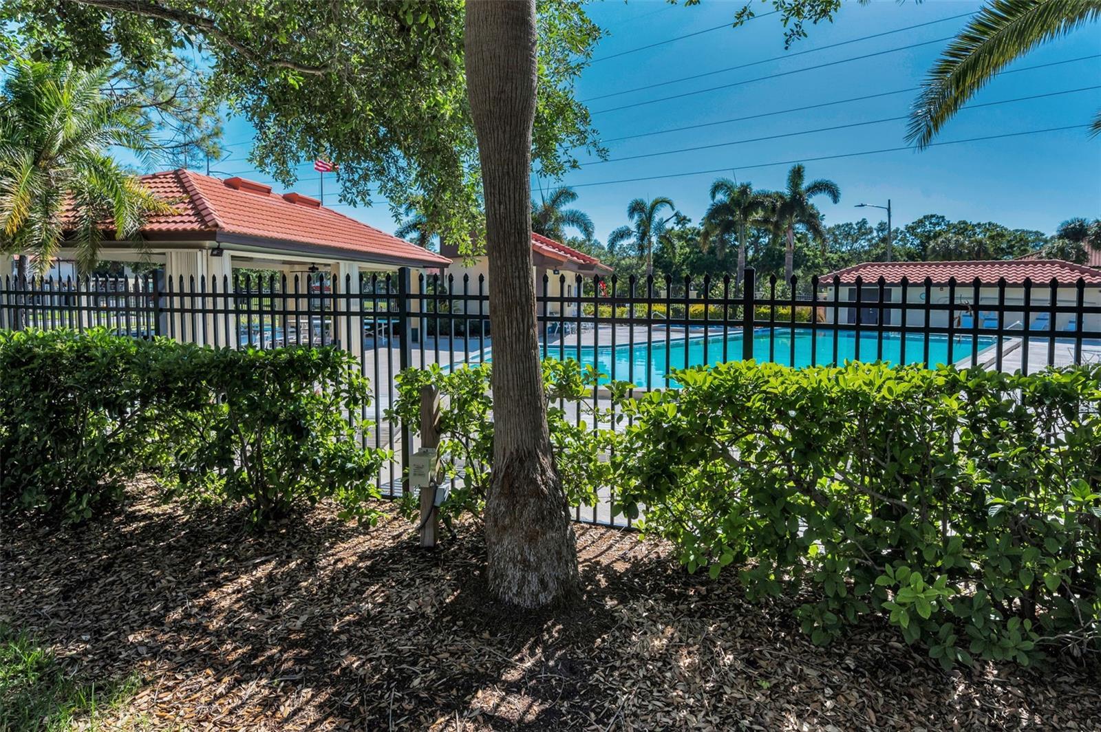 502 Hammock Pine Blvd #502 Property Photo 47