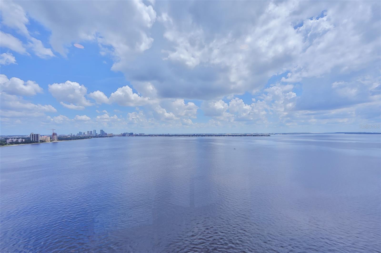 3435 Bayshore Blvd #2100p Property Photo 7