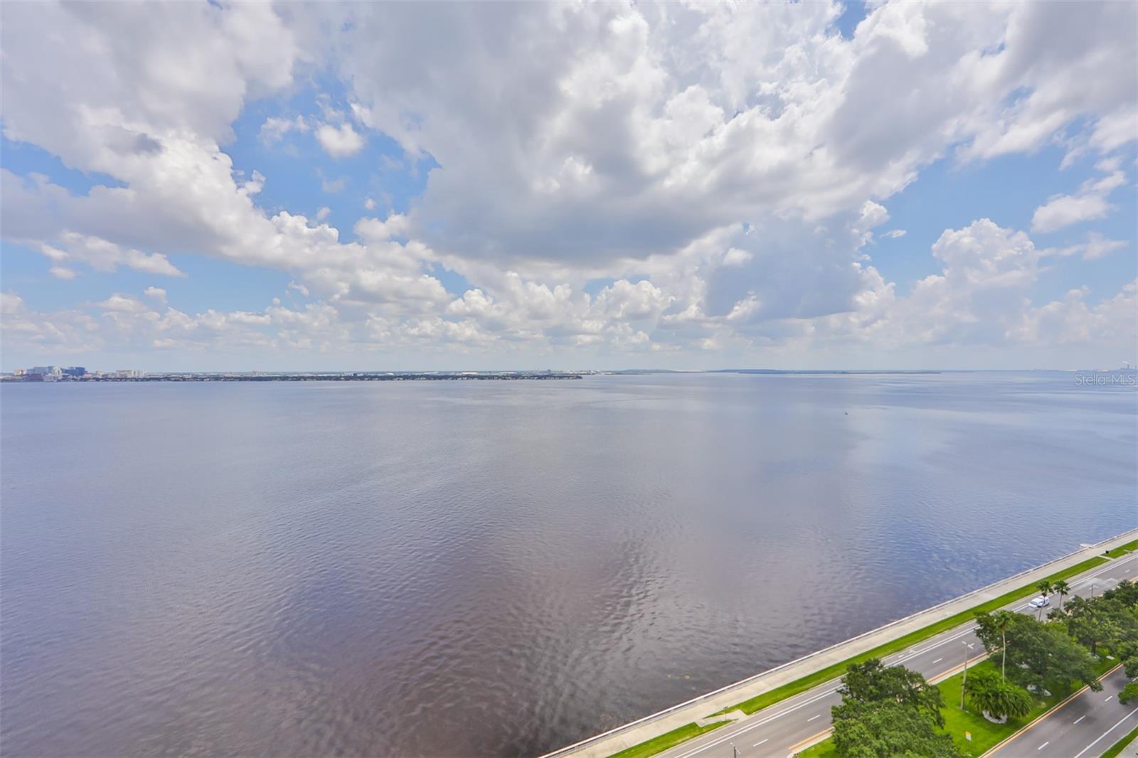 3435 Bayshore Blvd #2100p Property Photo 43