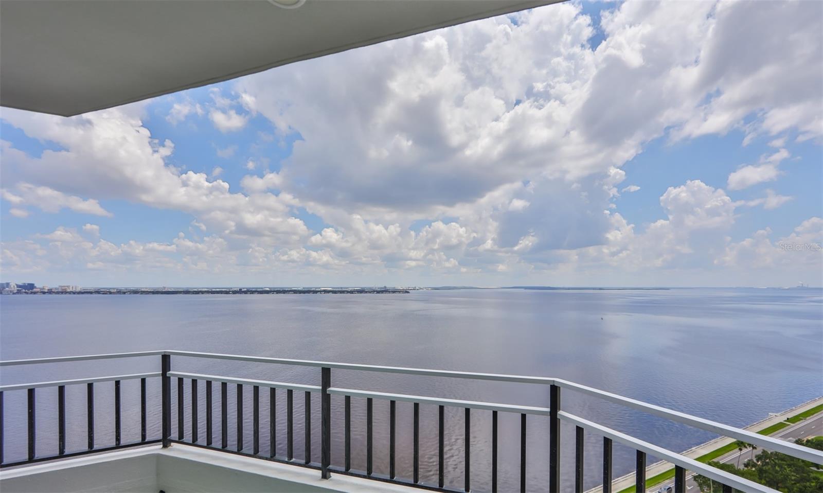 3435 Bayshore Blvd #2100p Property Photo 44