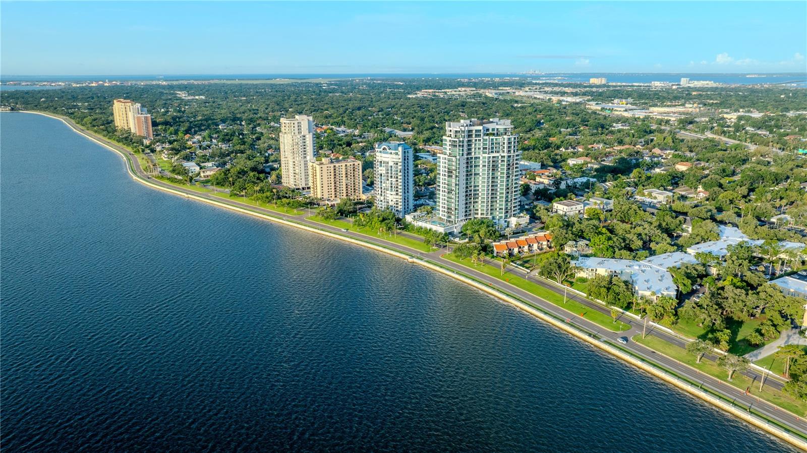 3435 Bayshore Blvd #2100p Property Photo 46