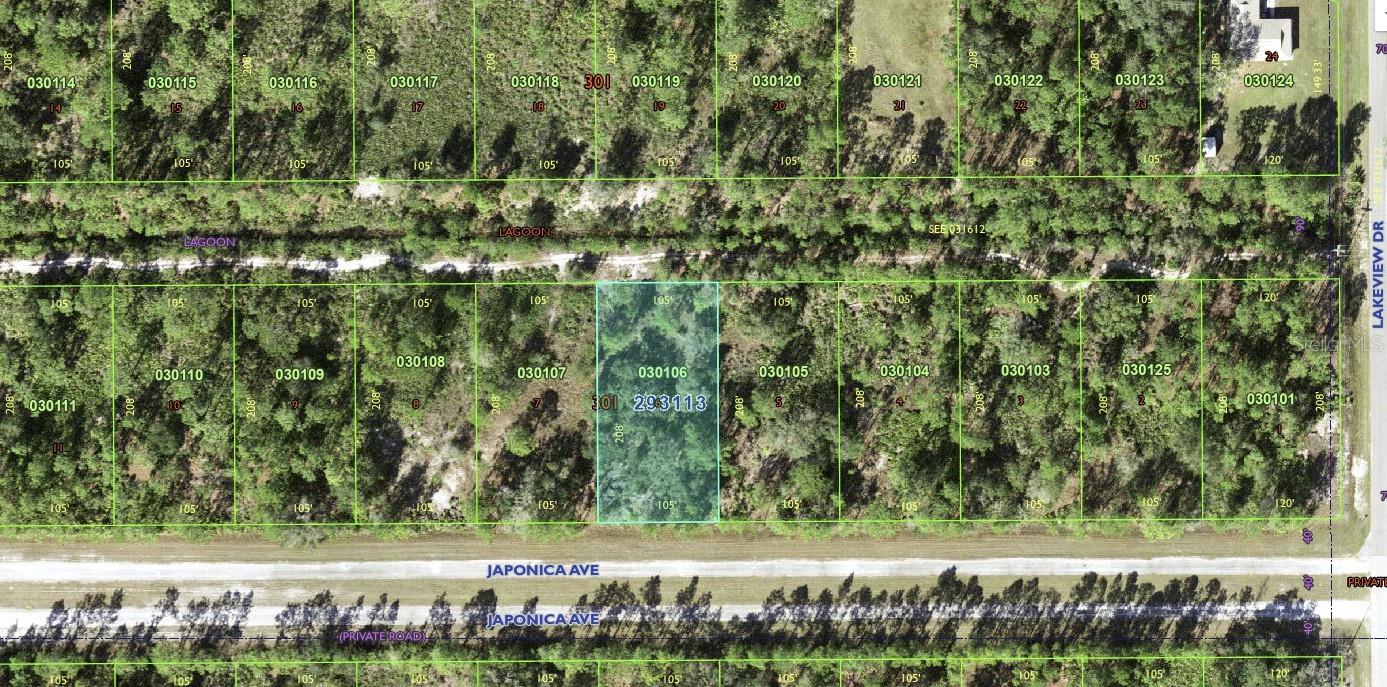 1012 Japonica Dr Property Photo 4
