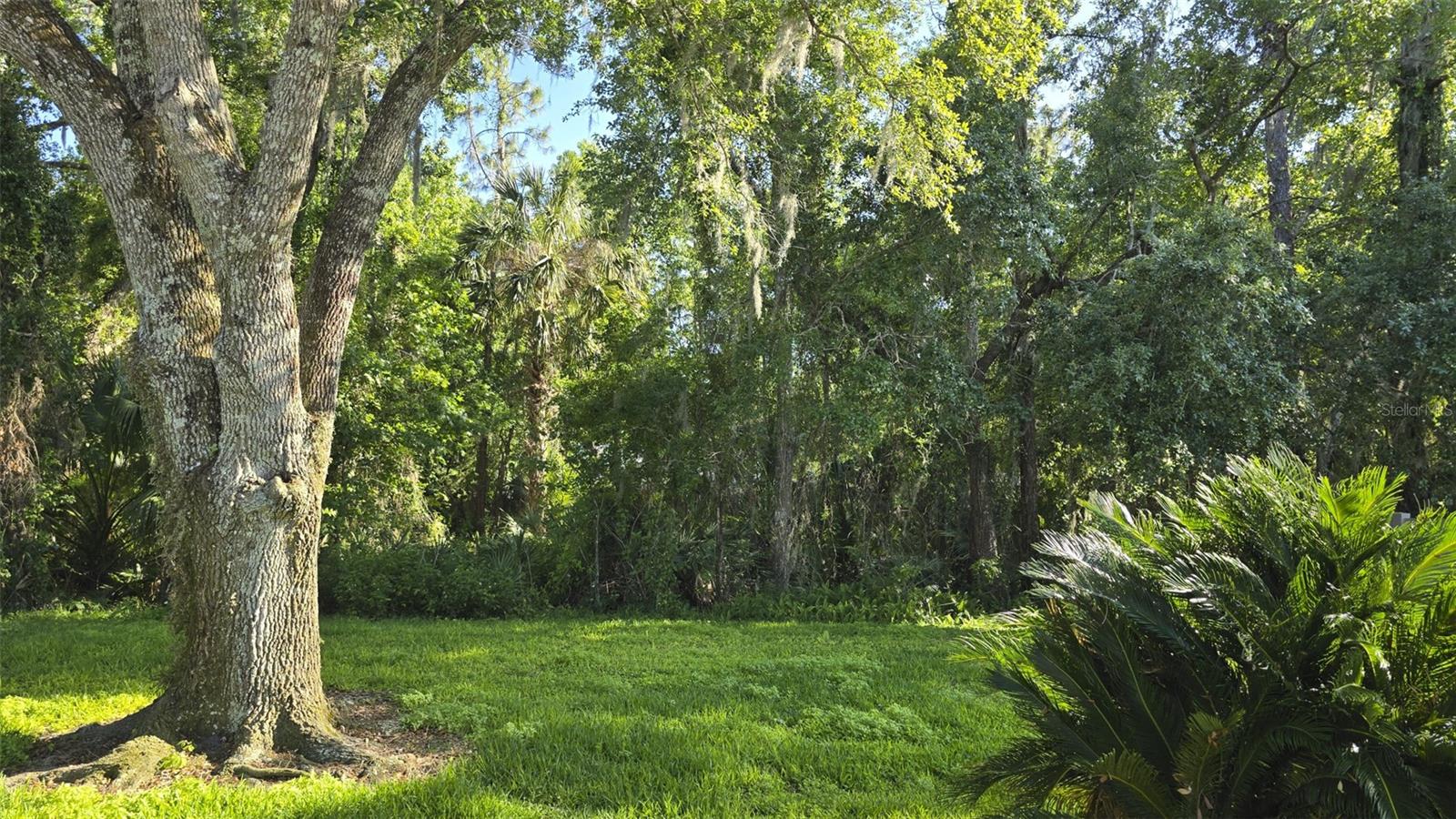 130 Redtail Pl Property Photo 5