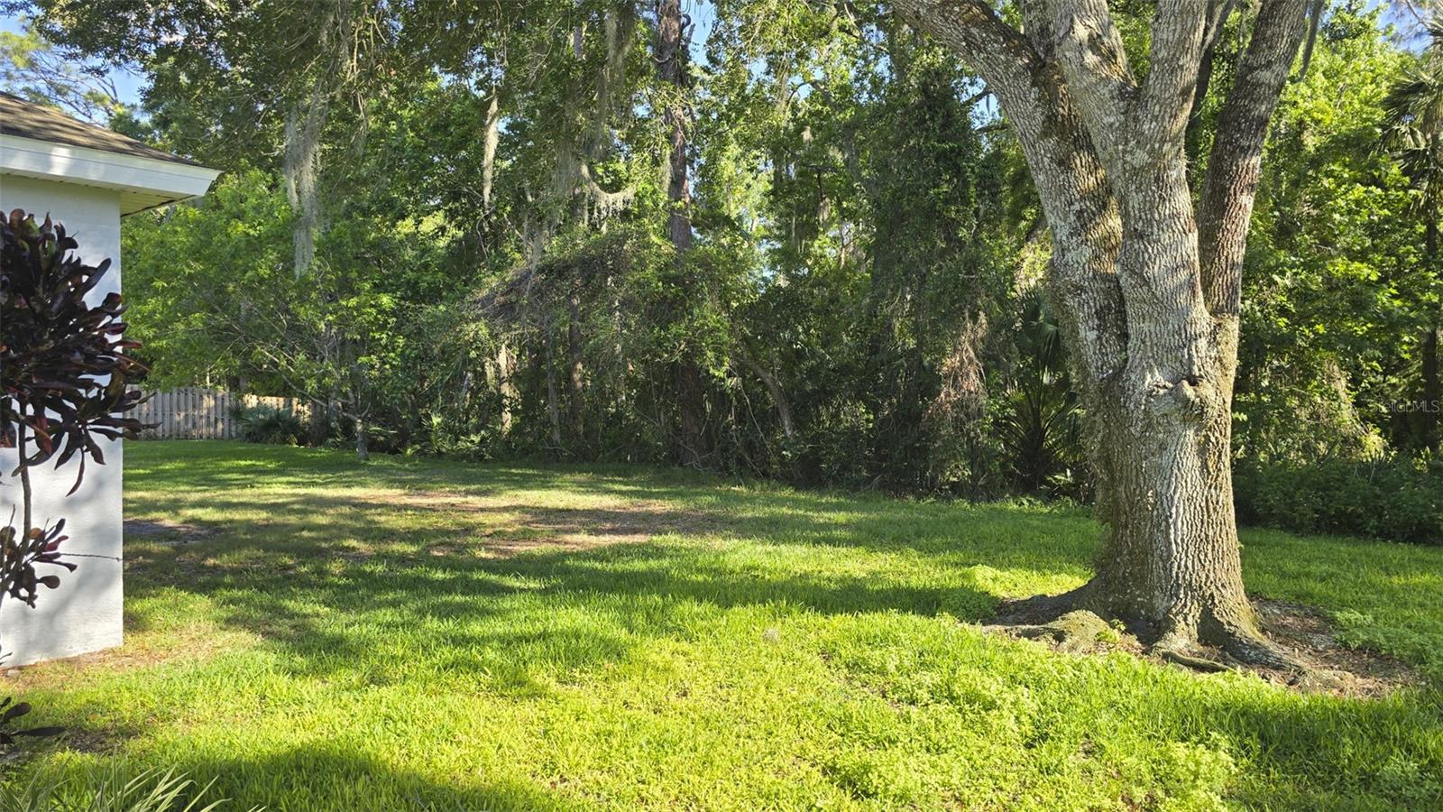 130 Redtail Pl Property Photo 6