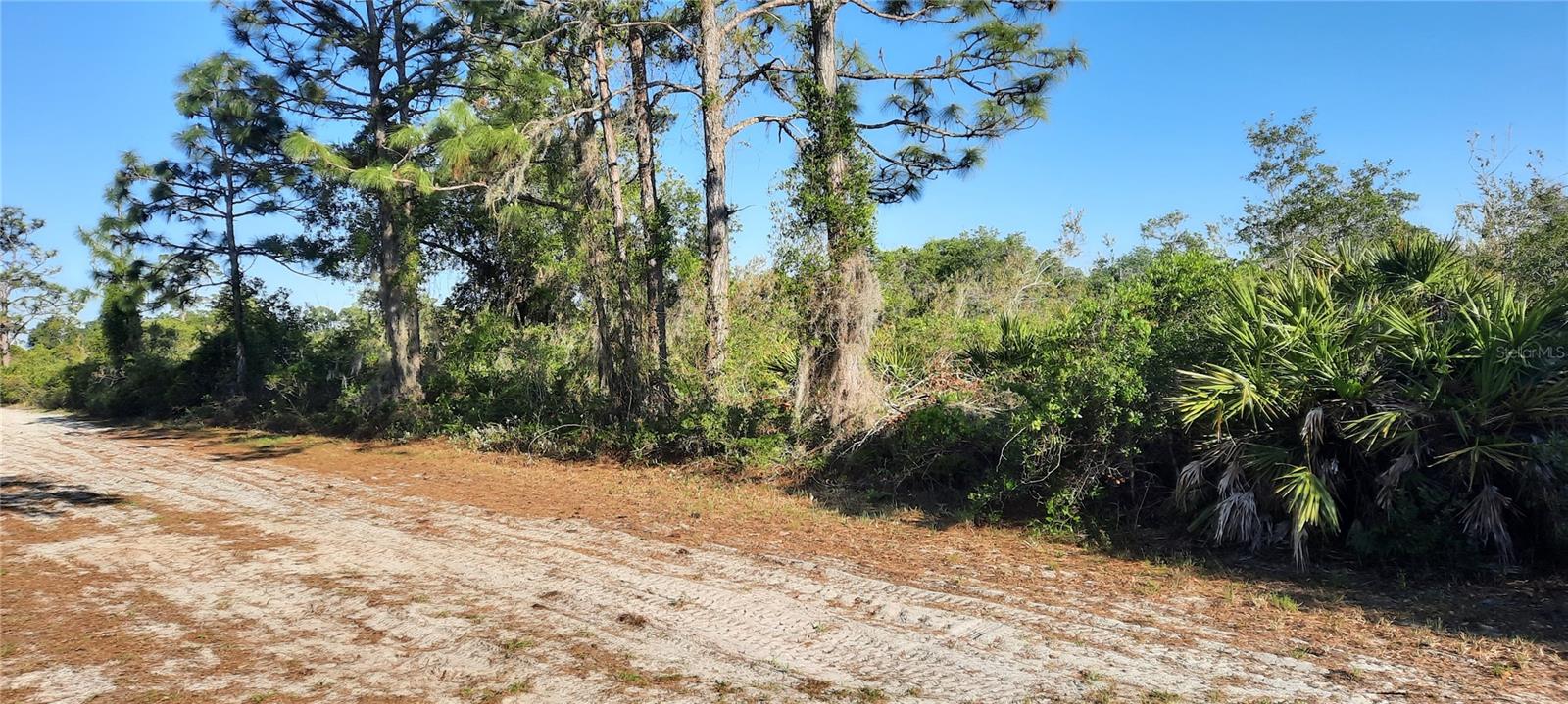 911 Bougainville Dr Property Photo
