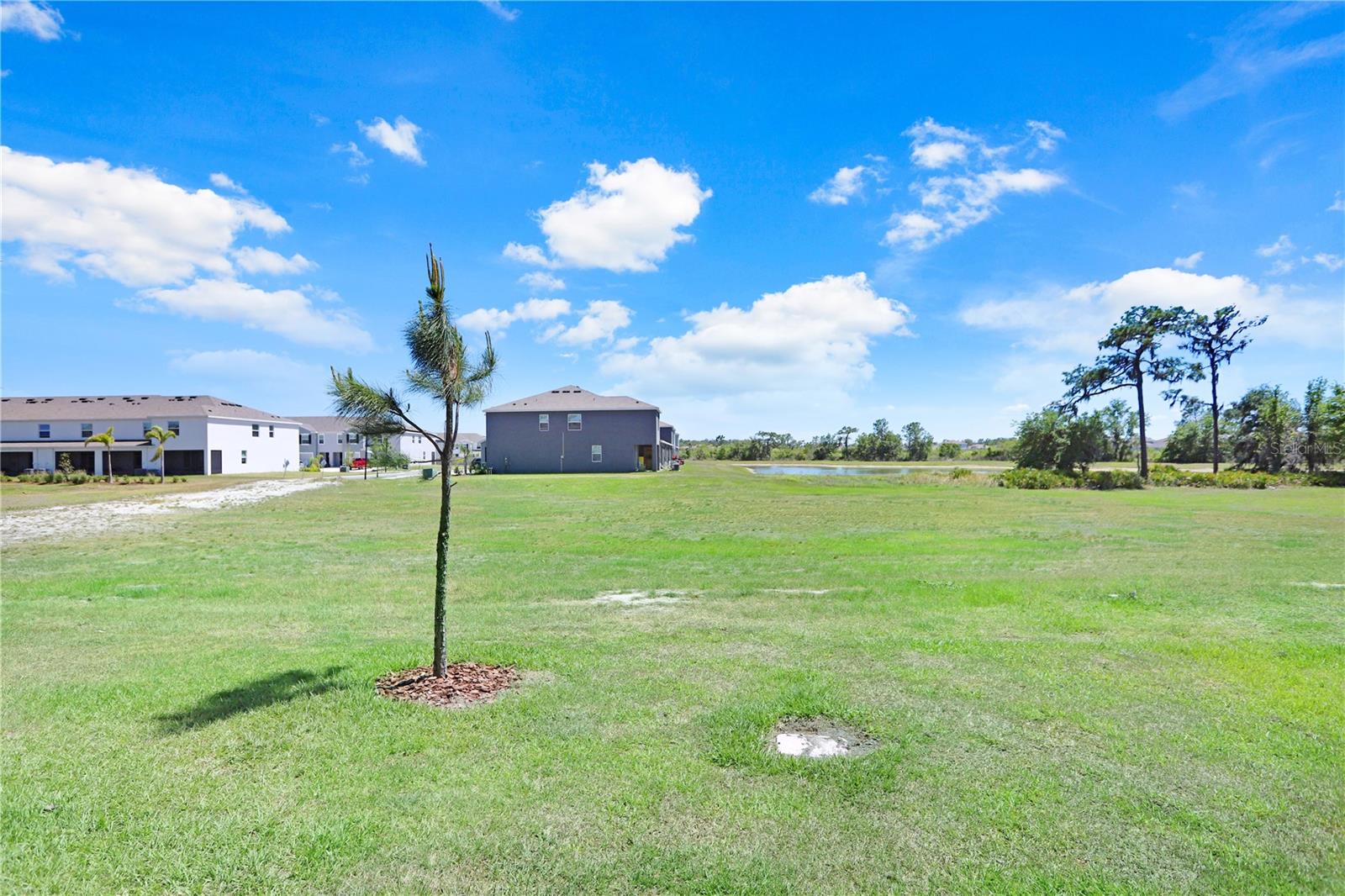 32978 Tulip Petal Ln Property Photo 26