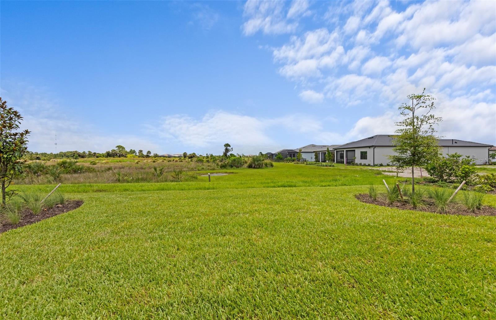 5958 Talon Preserve Dr Property Photo 38