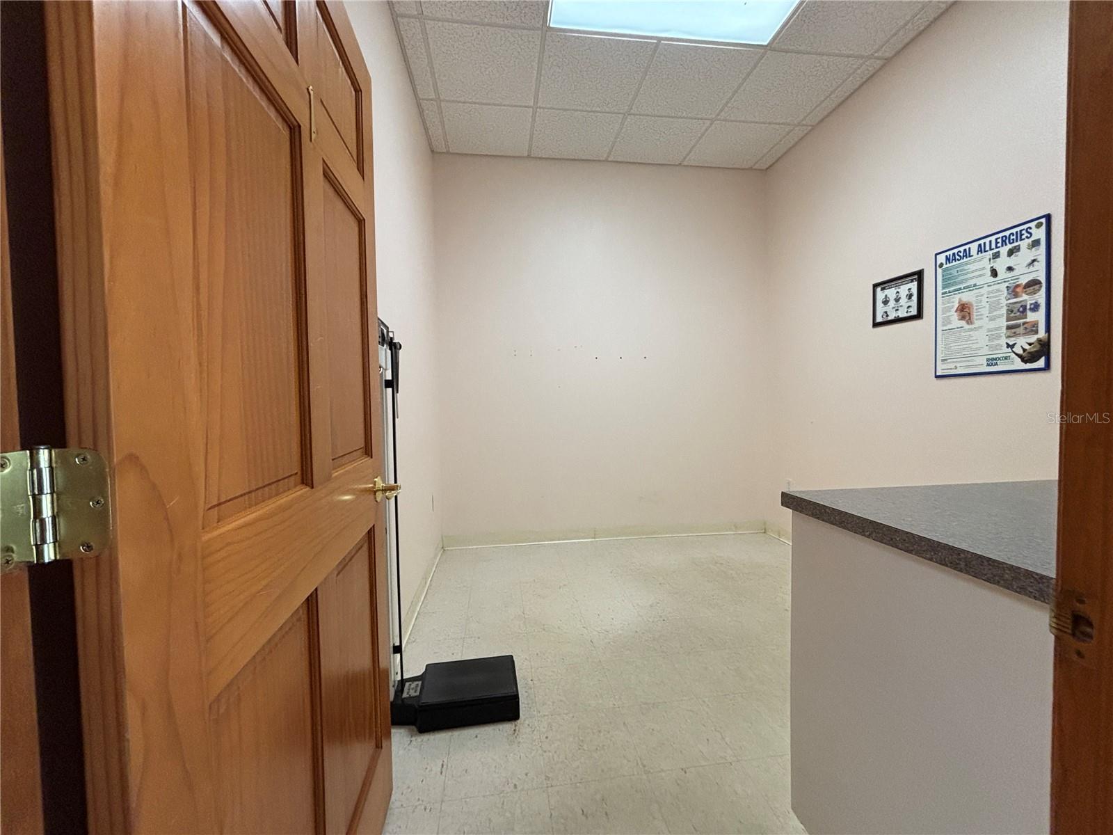 2855 Alt 19 Property Photo 8