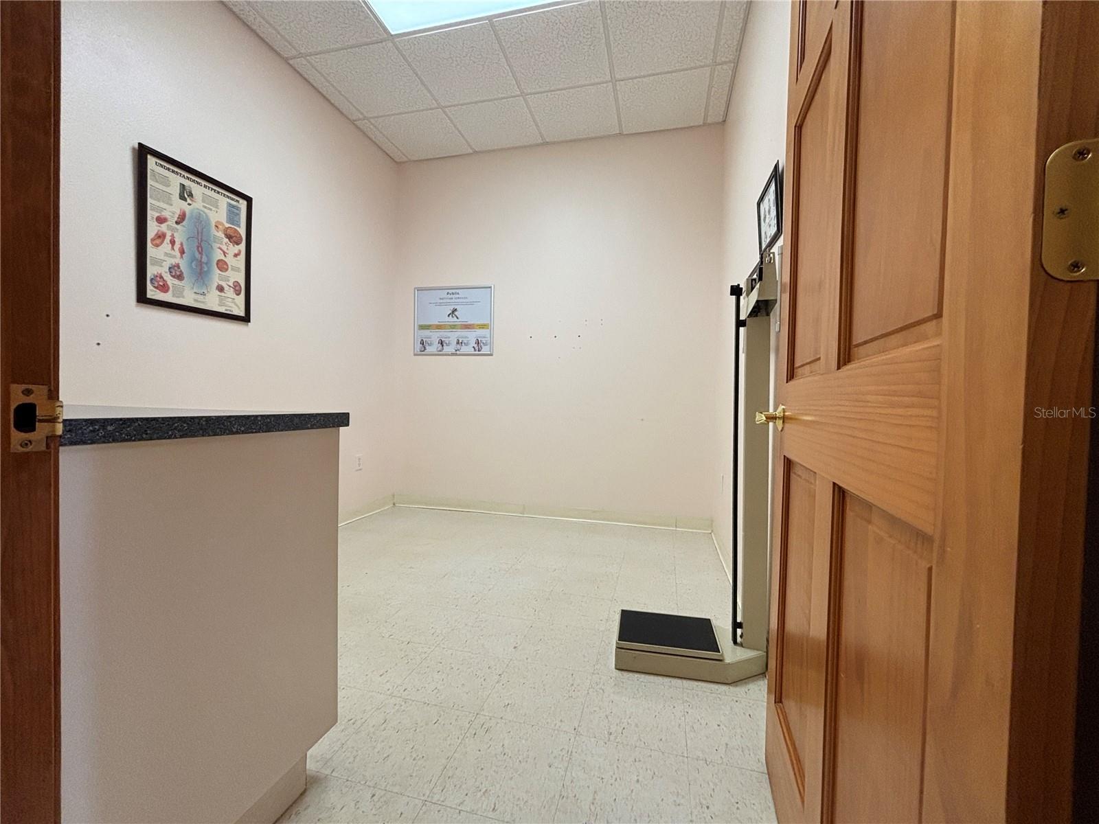 2855 Alt 19 Property Photo 10