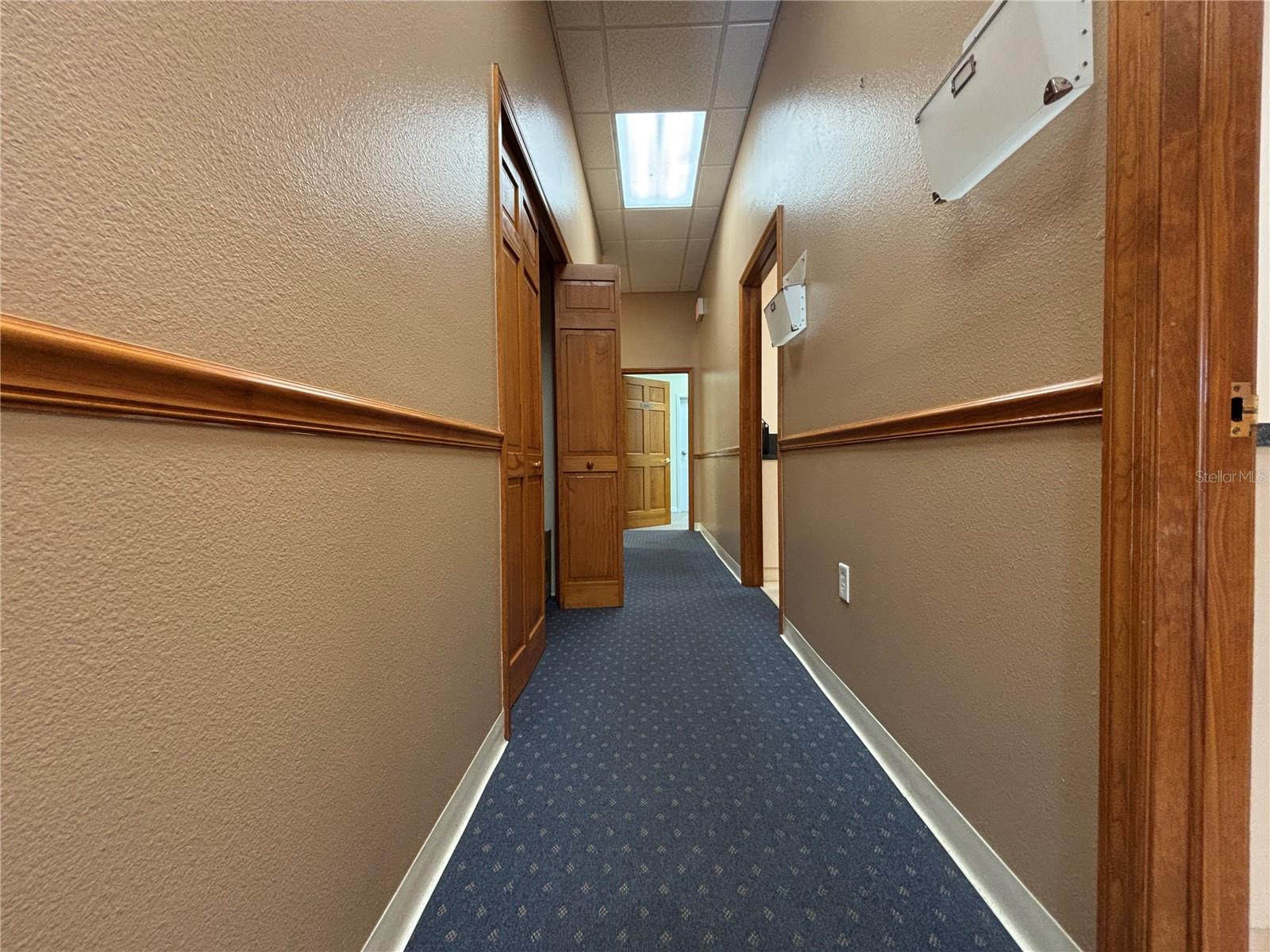 2855 Alt 19 Property Photo 12