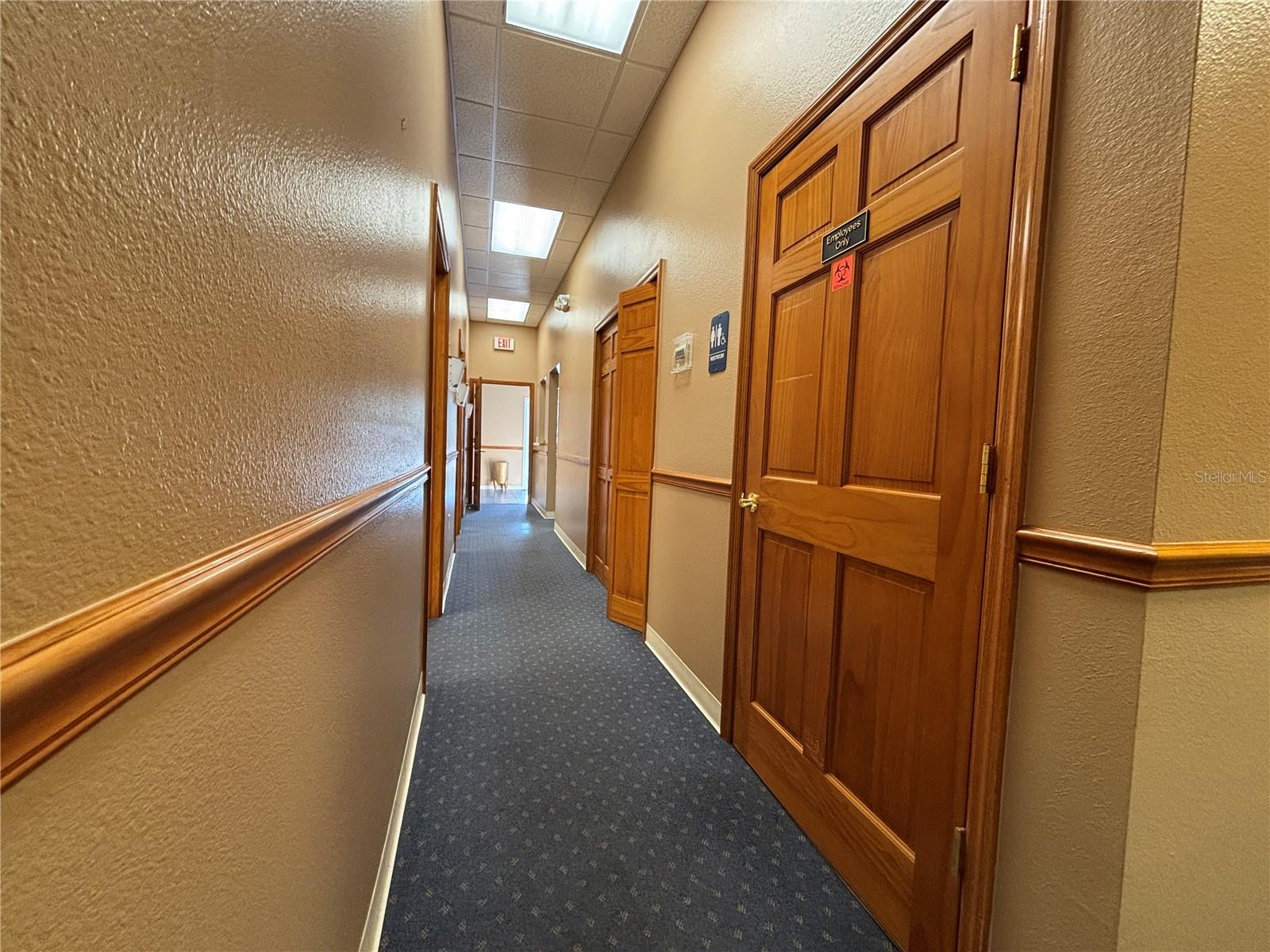 2855 Alt 19 Property Photo 17