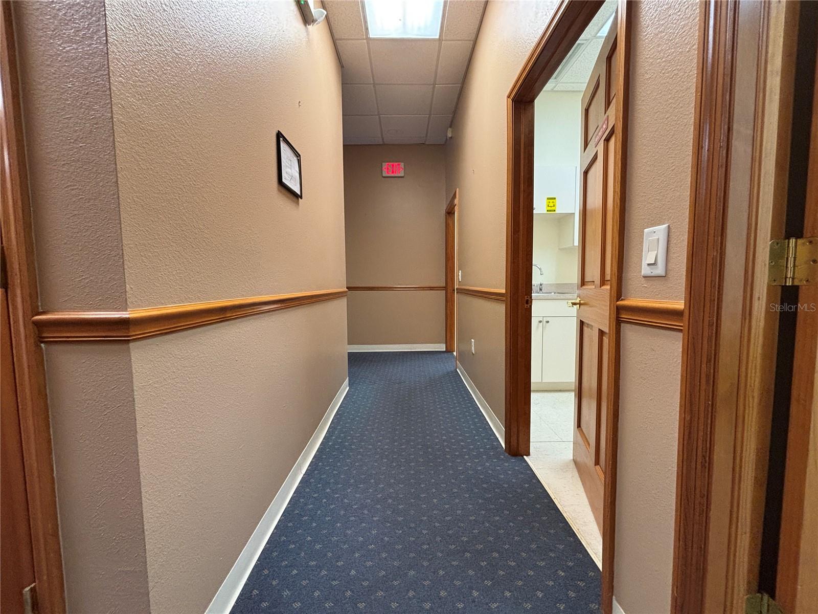 2855 Alt 19 Property Photo 23