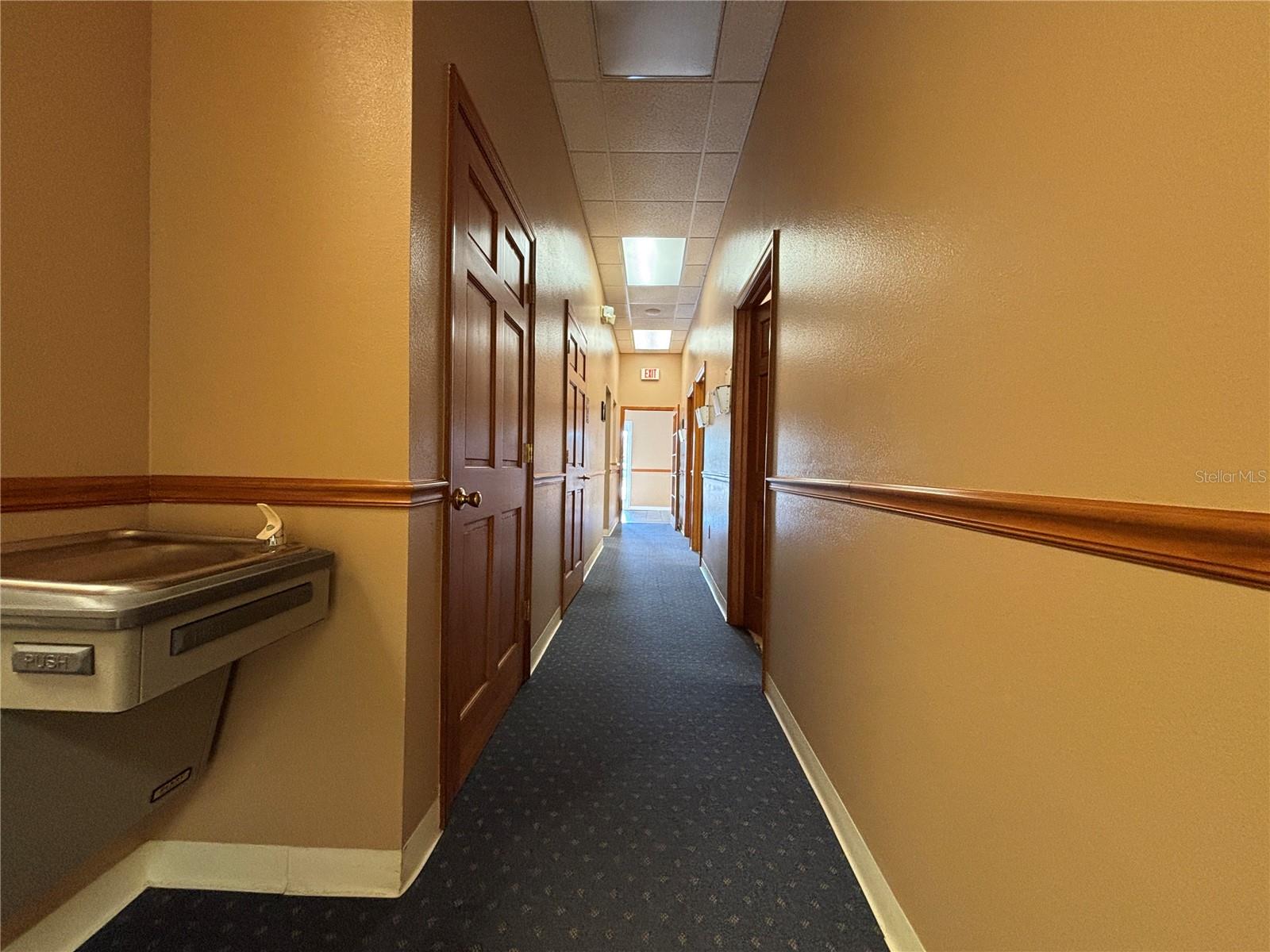 2855 Alt 19 Property Photo 29