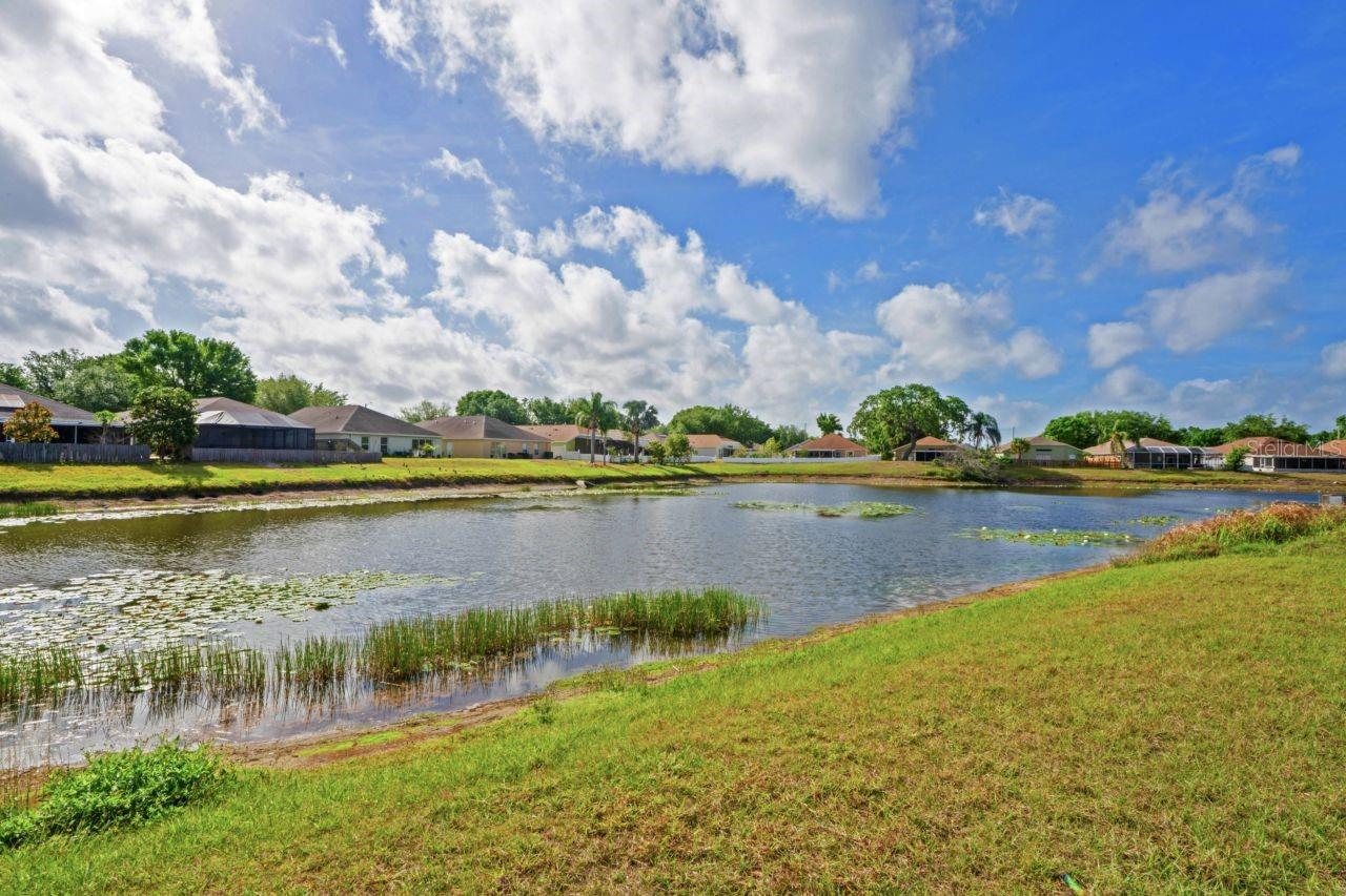 13131 Early Run Ln Property Photo 45