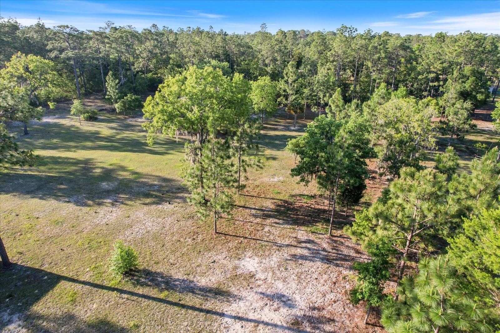 5555 N Muslin Ter Property Photo 4