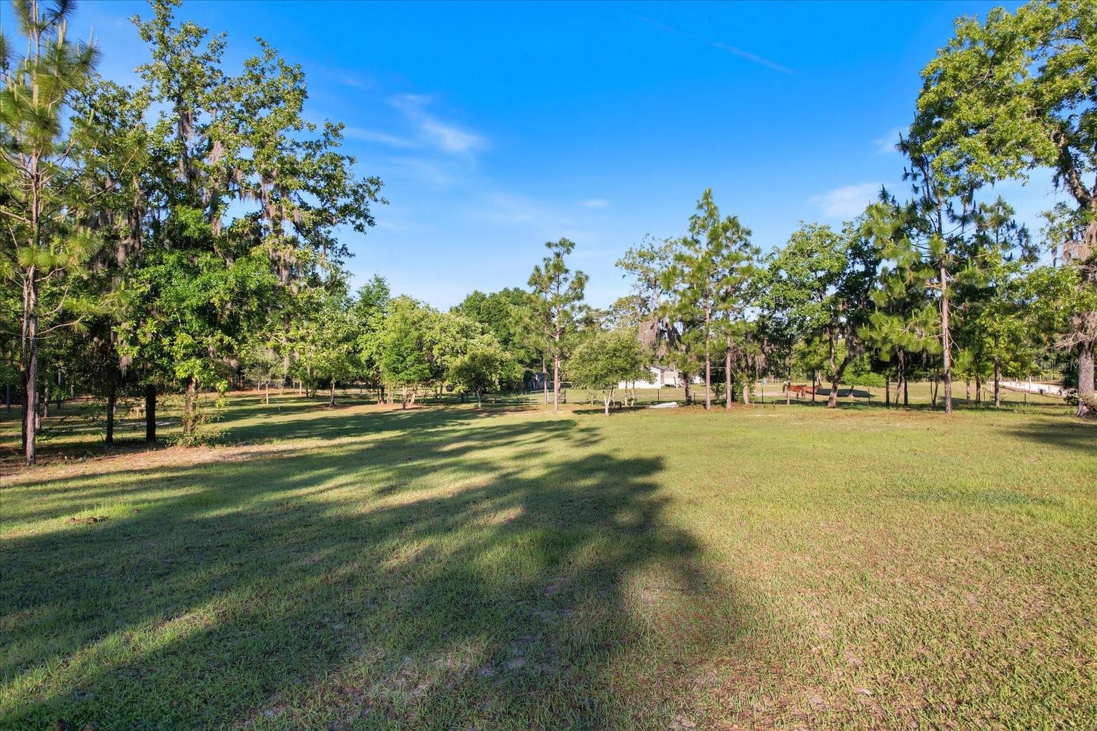 5555 N Muslin Ter Property Photo 5