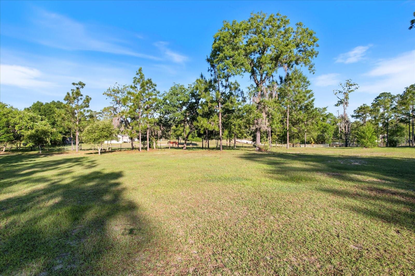 5555 N Muslin Ter Property Photo 8