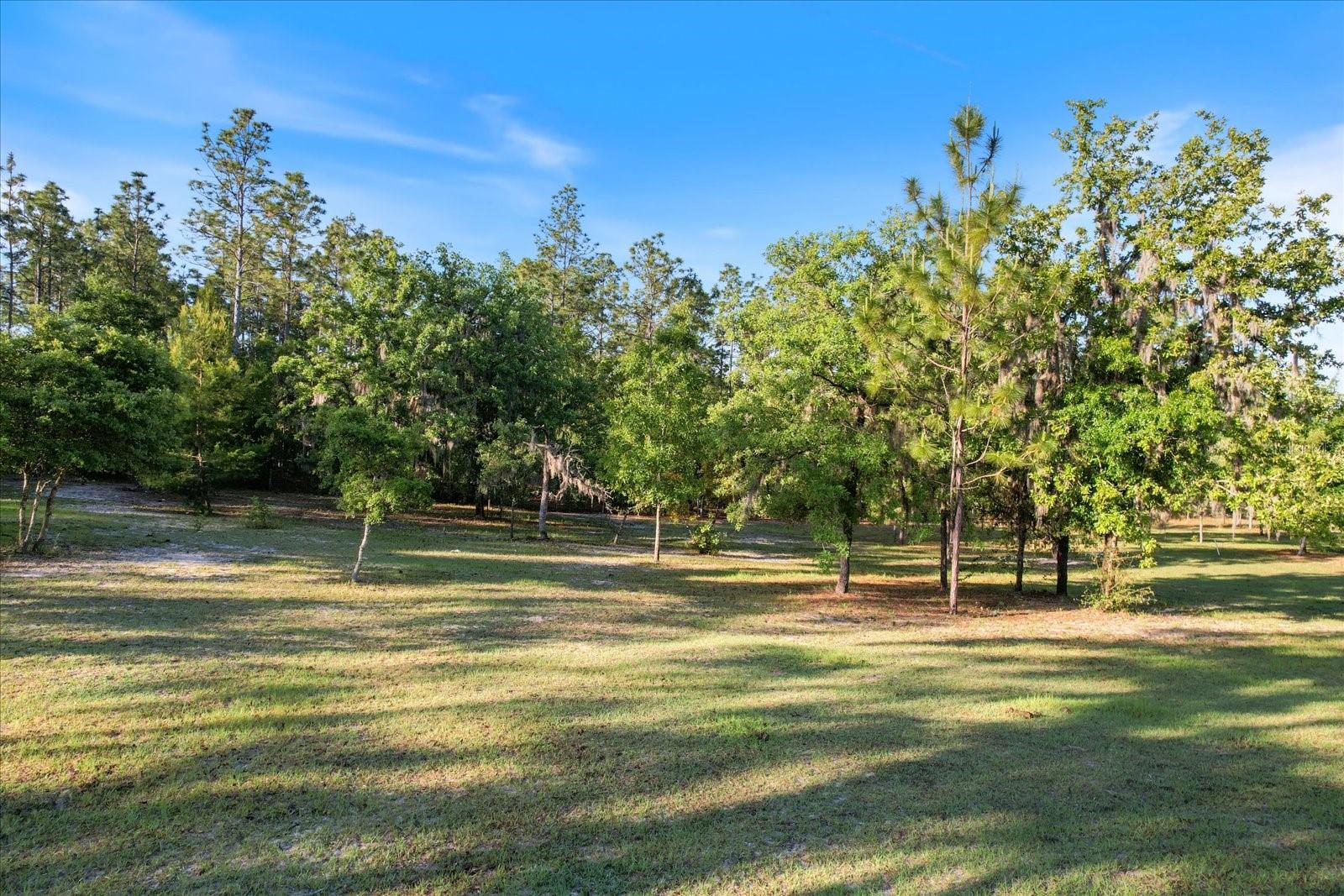 5555 N Muslin Ter Property Photo 10