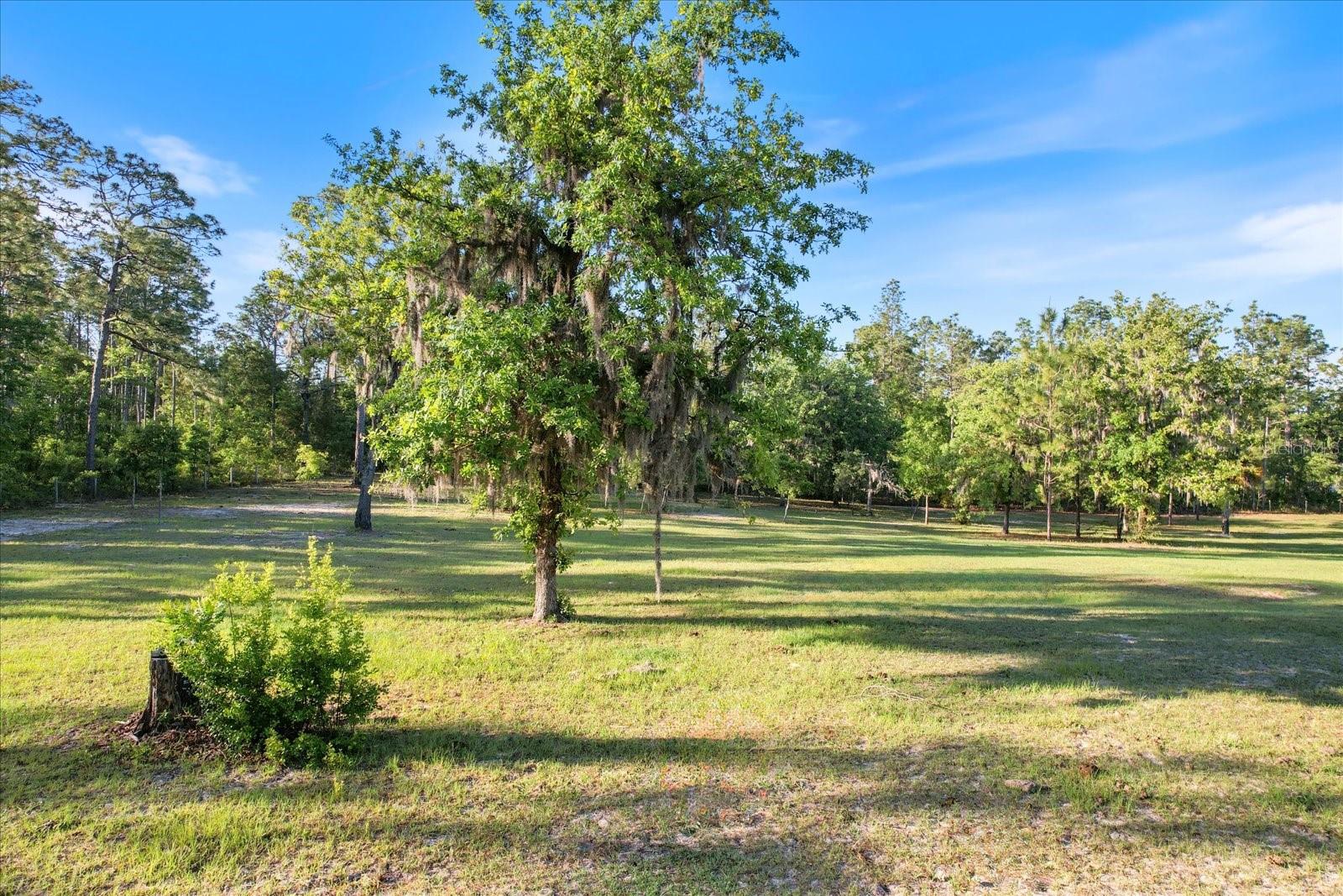 5555 N Muslin Ter Property Photo 13