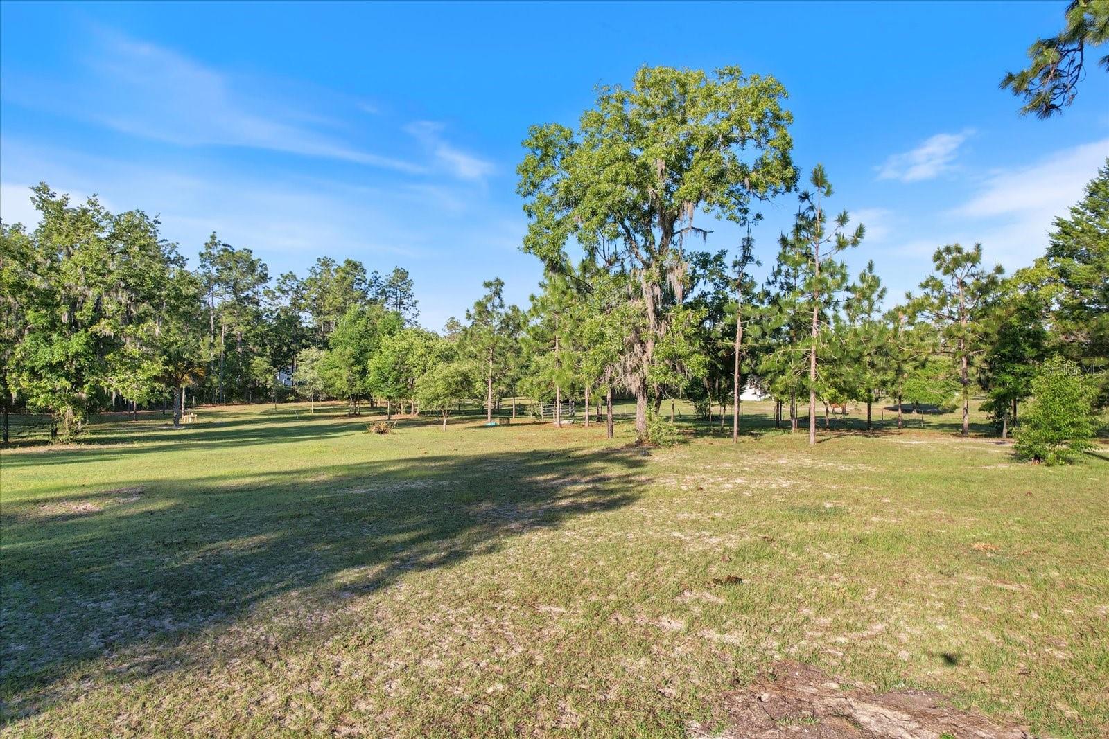 5555 N Muslin Ter Property Photo 14