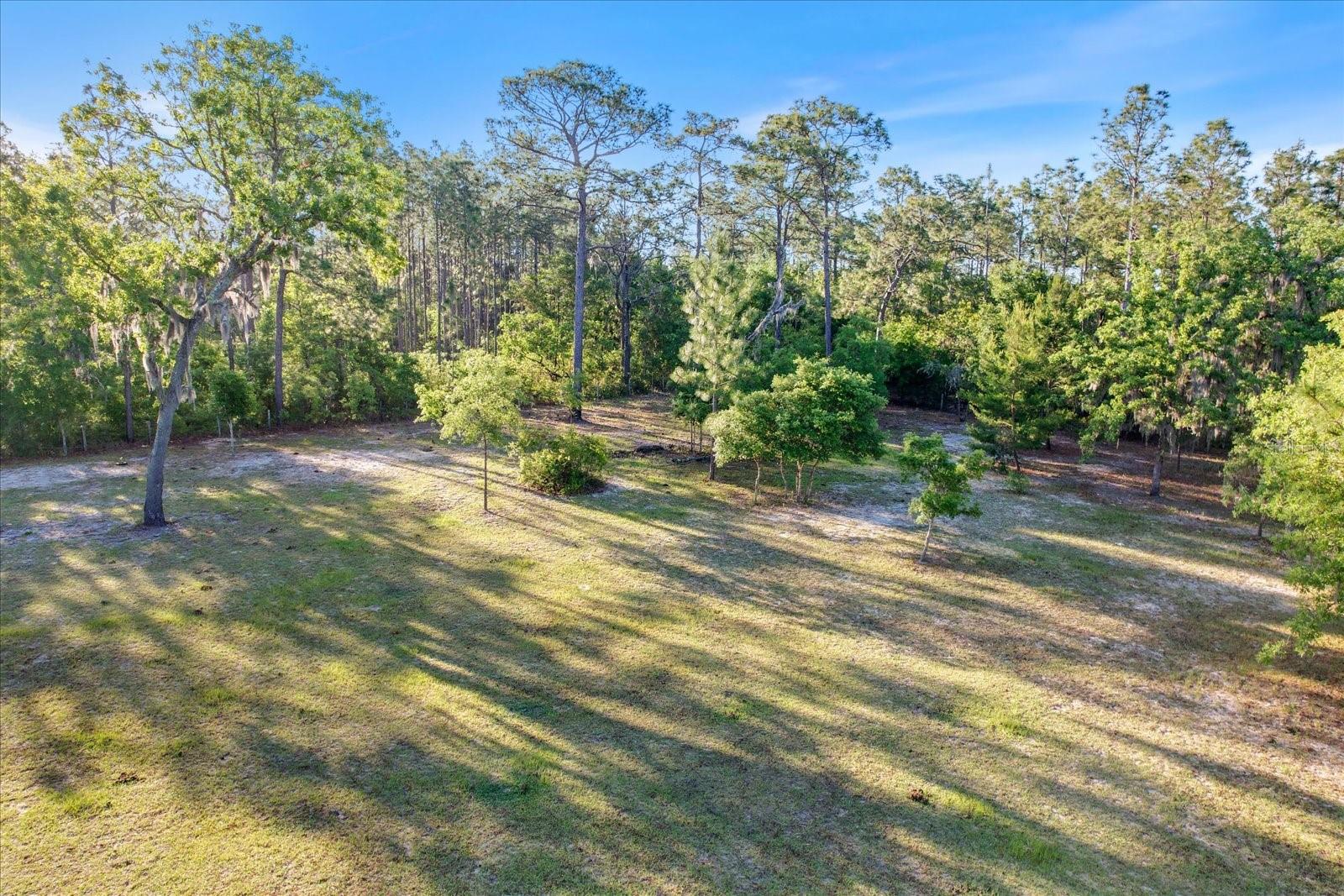 5555 N Muslin Ter Property Photo 15