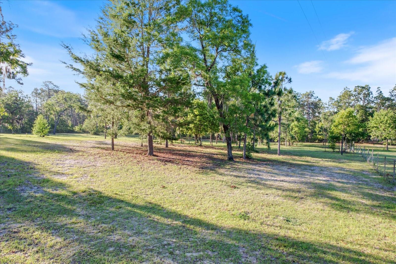 5555 N Muslin Ter Property Photo 16