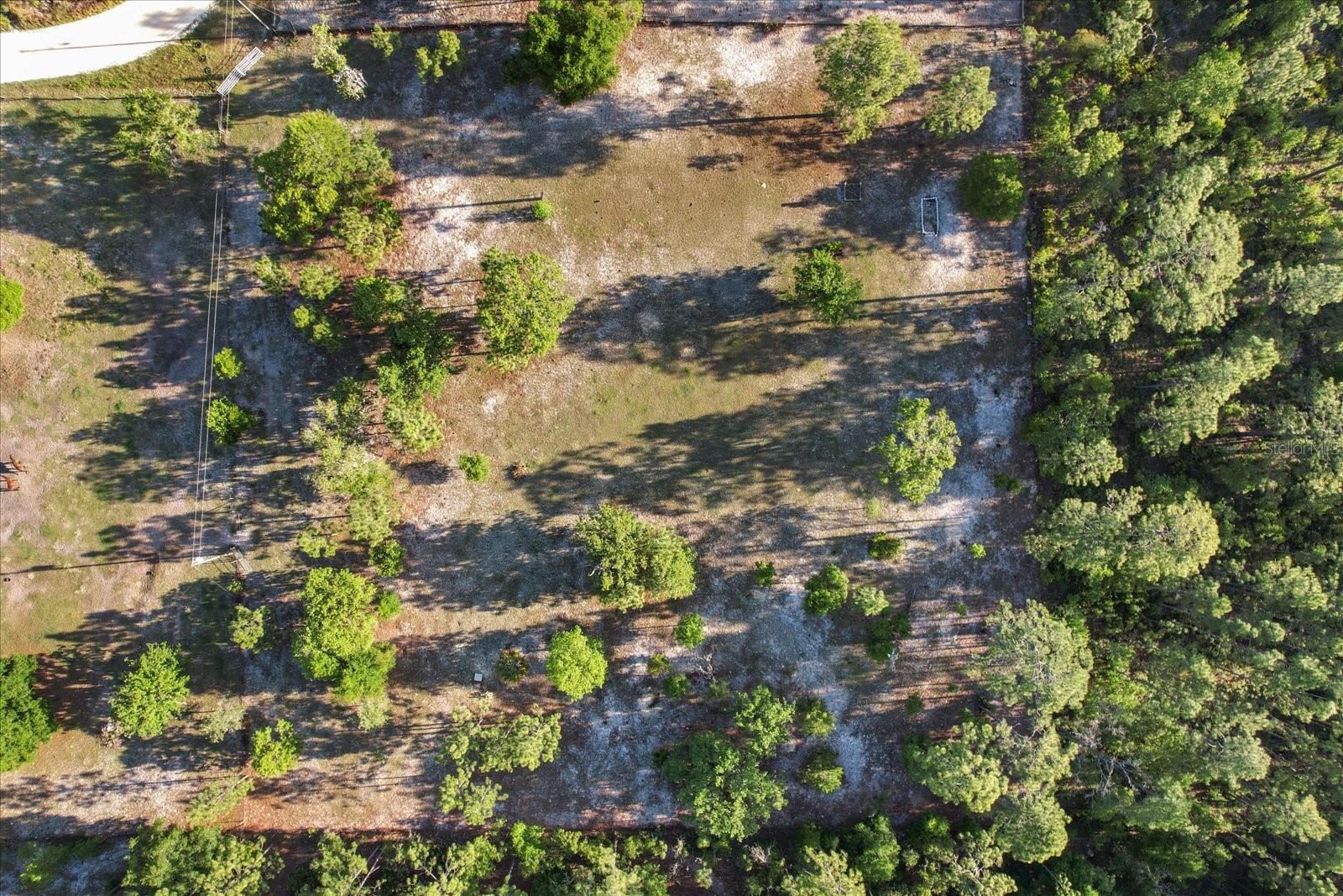 5555 N Muslin Ter Property Photo 17