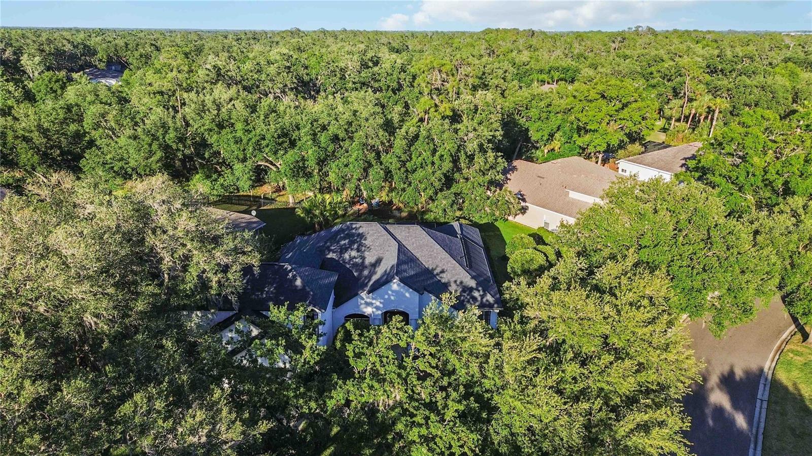 3329 Cypress Landing Dr Property Photo 45