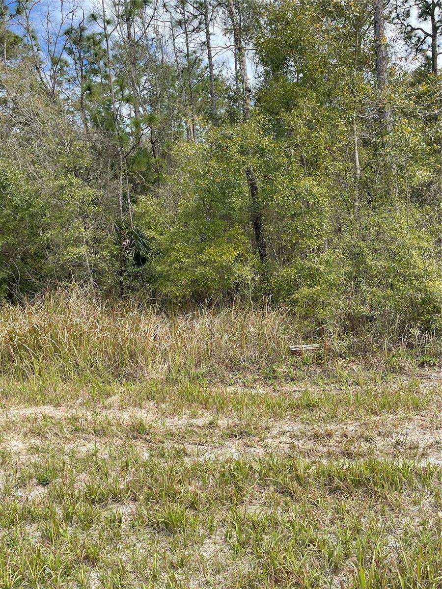 14139 Pigeon Rd Property Photo
