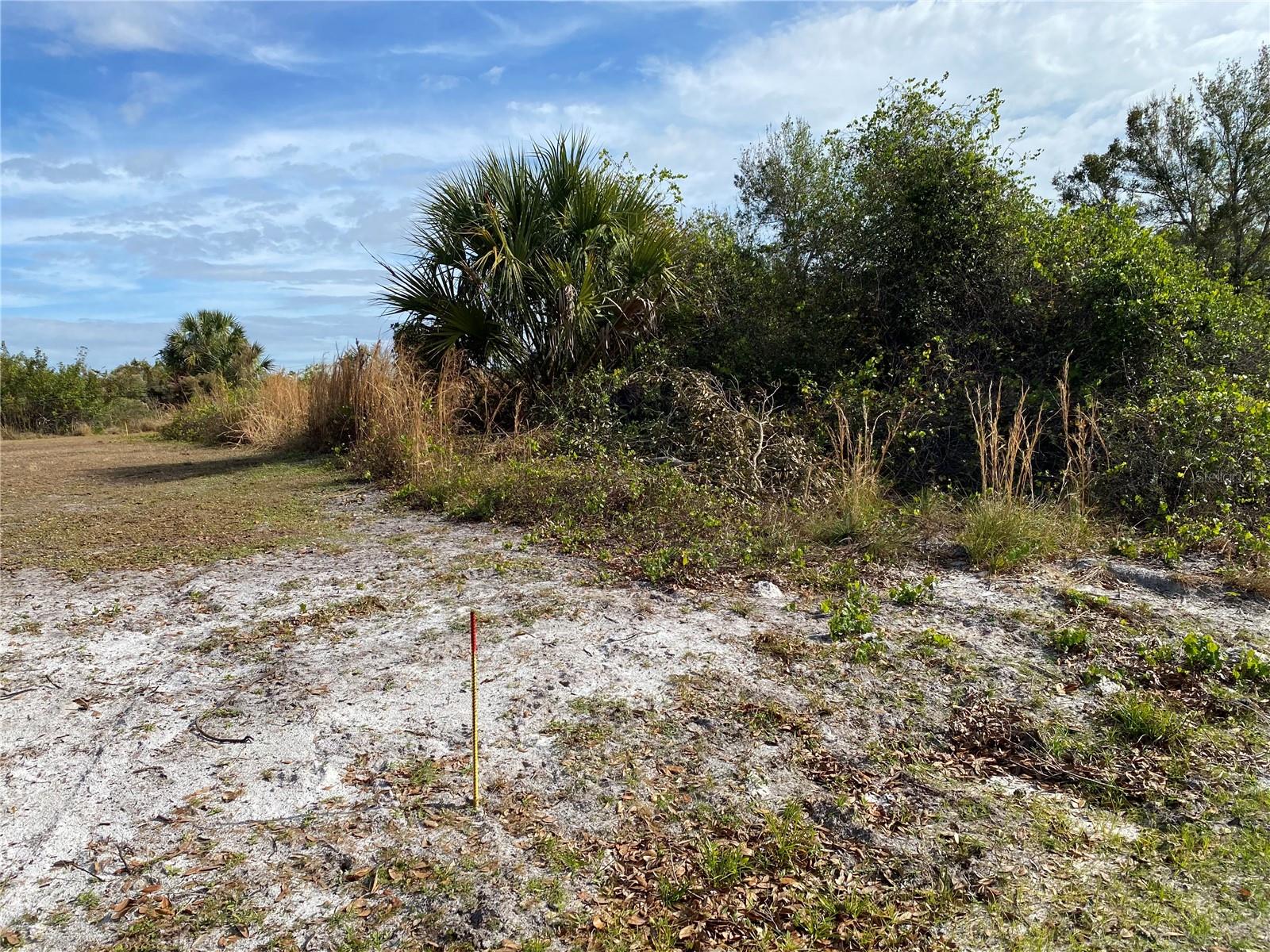 1616/1999 Coastal/broadpoint Dr Property Photo 2