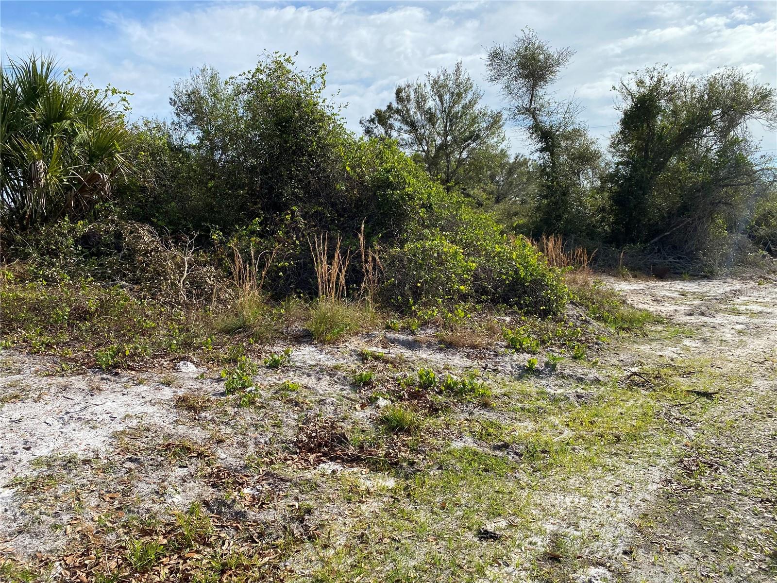 1616/1999 Coastal/broadpoint Dr Property Photo 3