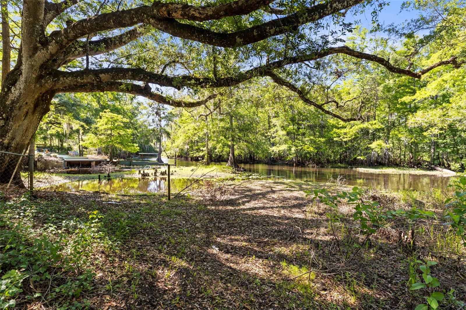 29133 Lawton Dr Property Photo 33