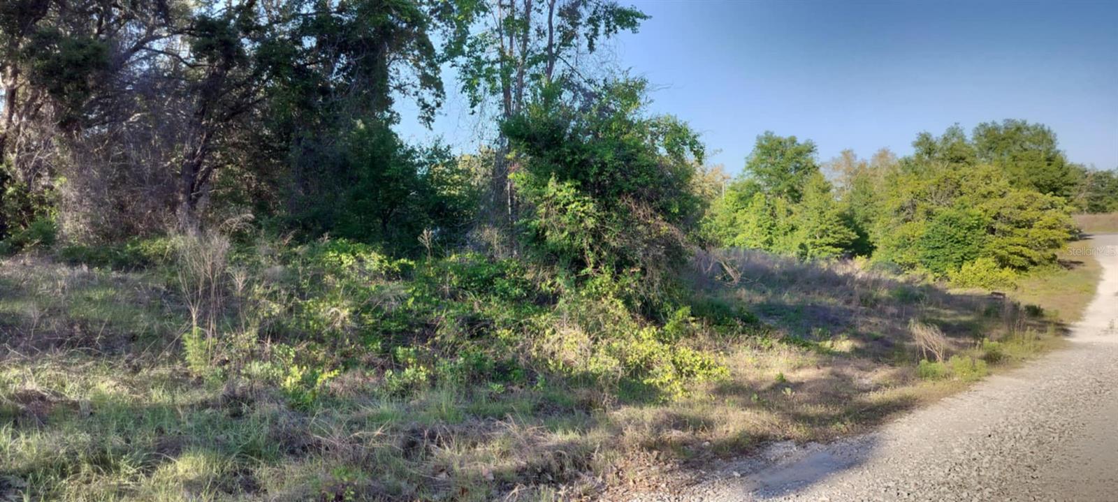 2808 Van Buren St W Property Photo 17